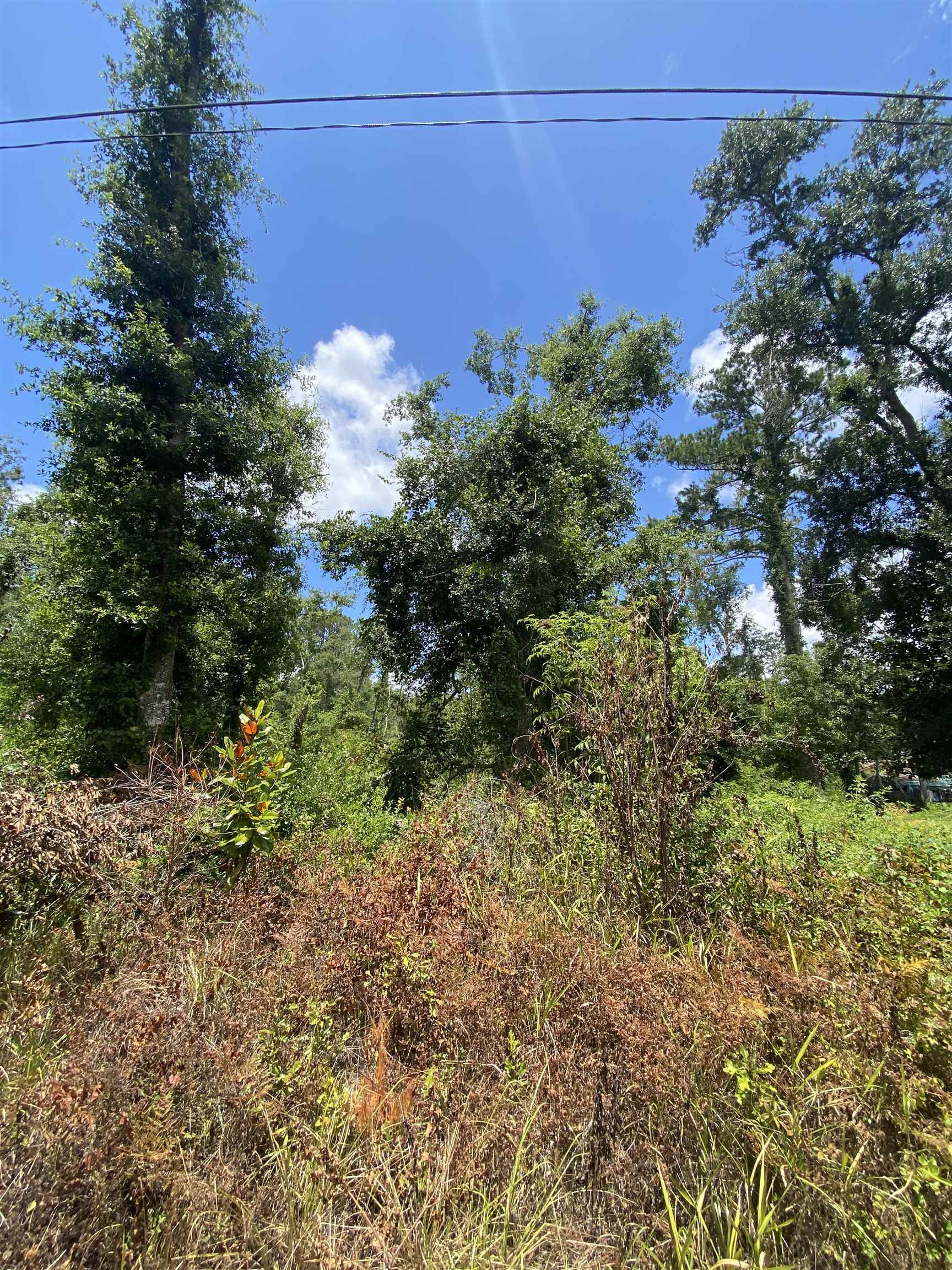 Southwest Main Street Greenville, FL 32331 - Photo 5 of 11