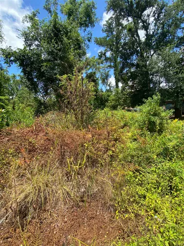 $7,000 | Southwest Main Street, Greenville, FL 32331