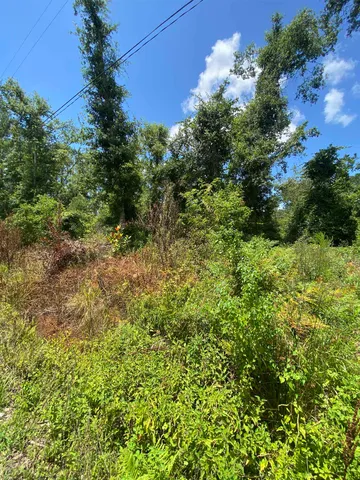 $7,000 | Southwest Main Street, Greenville, FL 32331