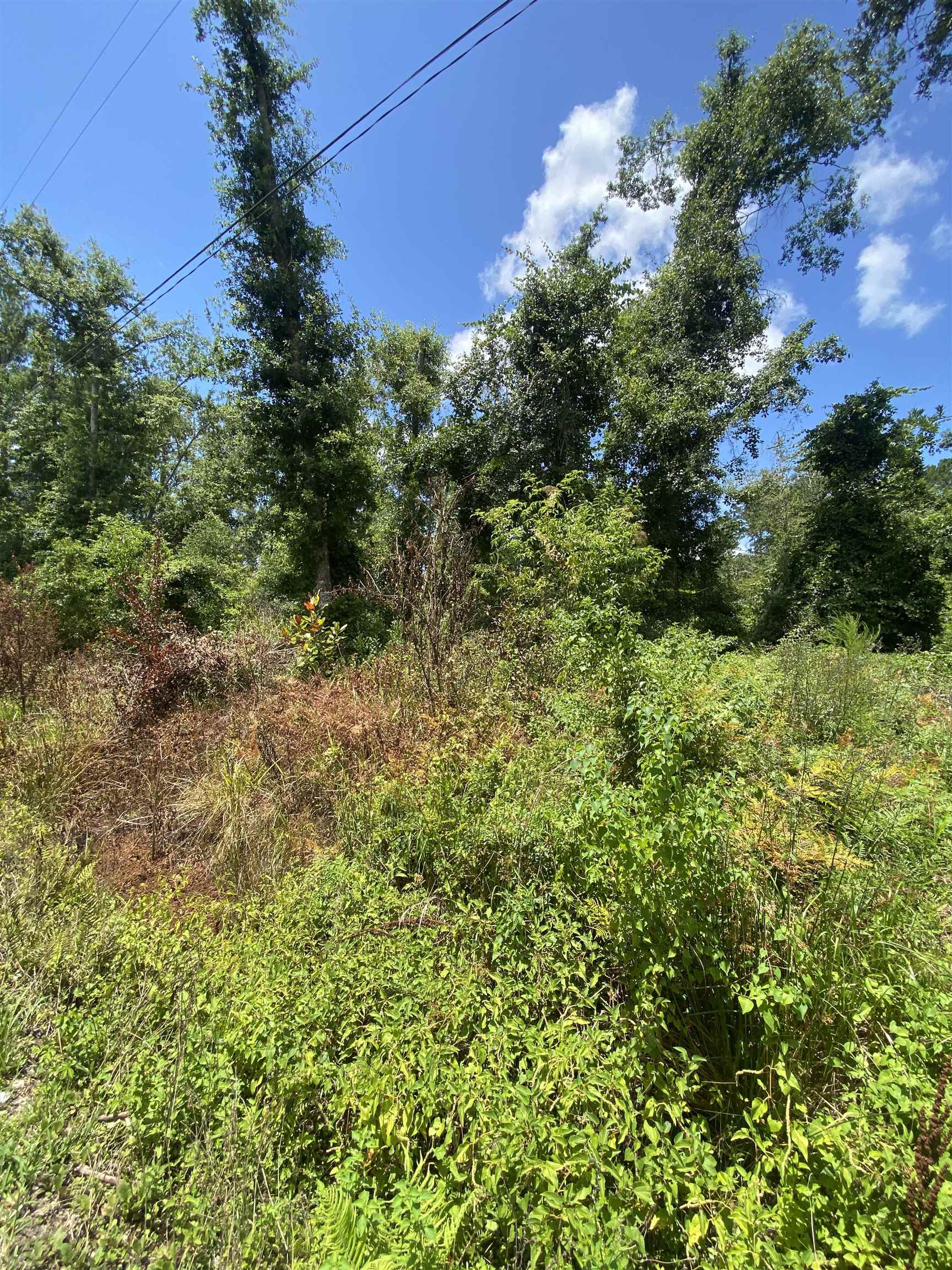 Southwest Main Street Greenville, FL 32331 - Photo 8 of 11