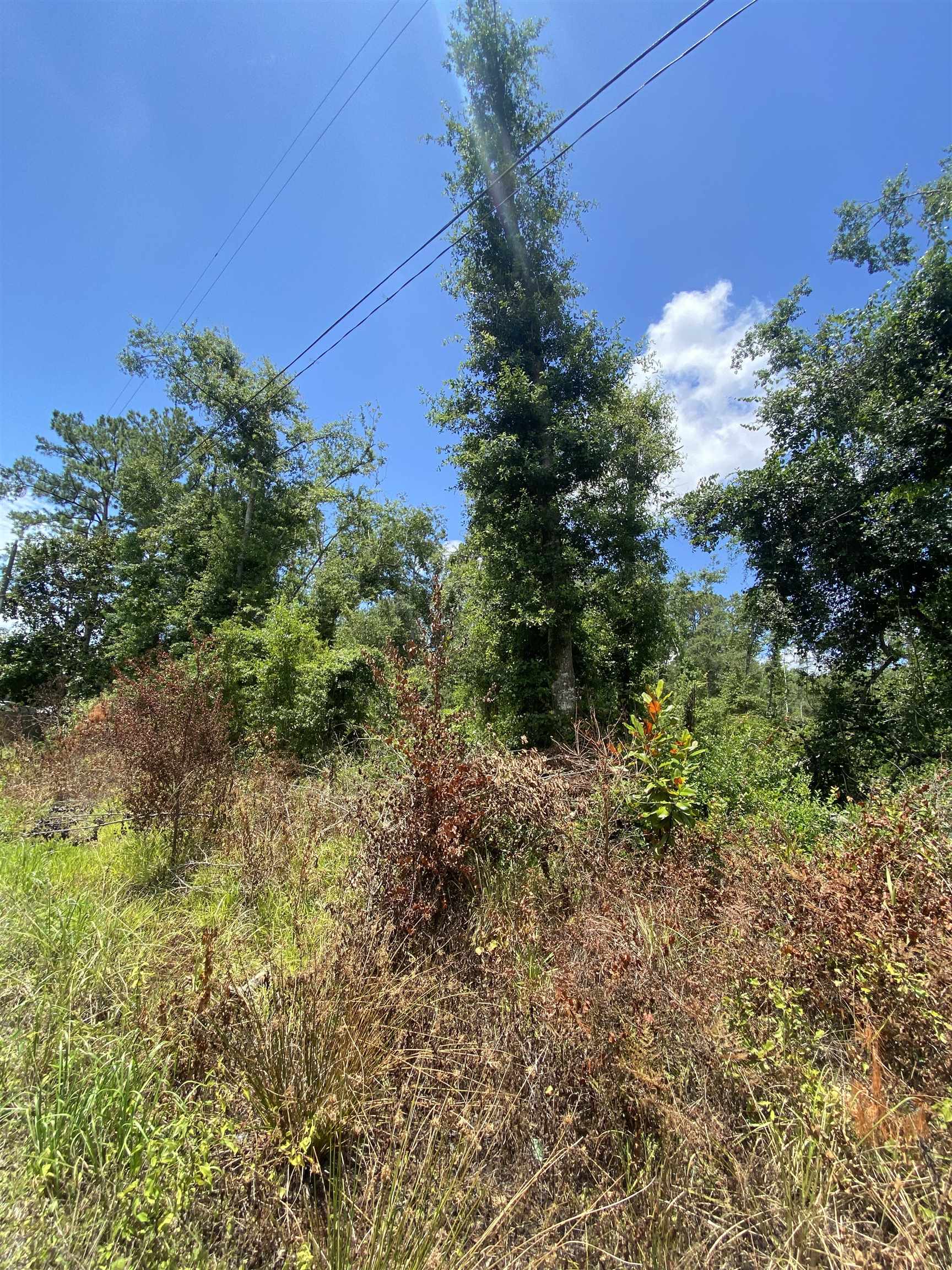 Southwest Main Street Greenville, FL 32331 - Photo 10 of 11