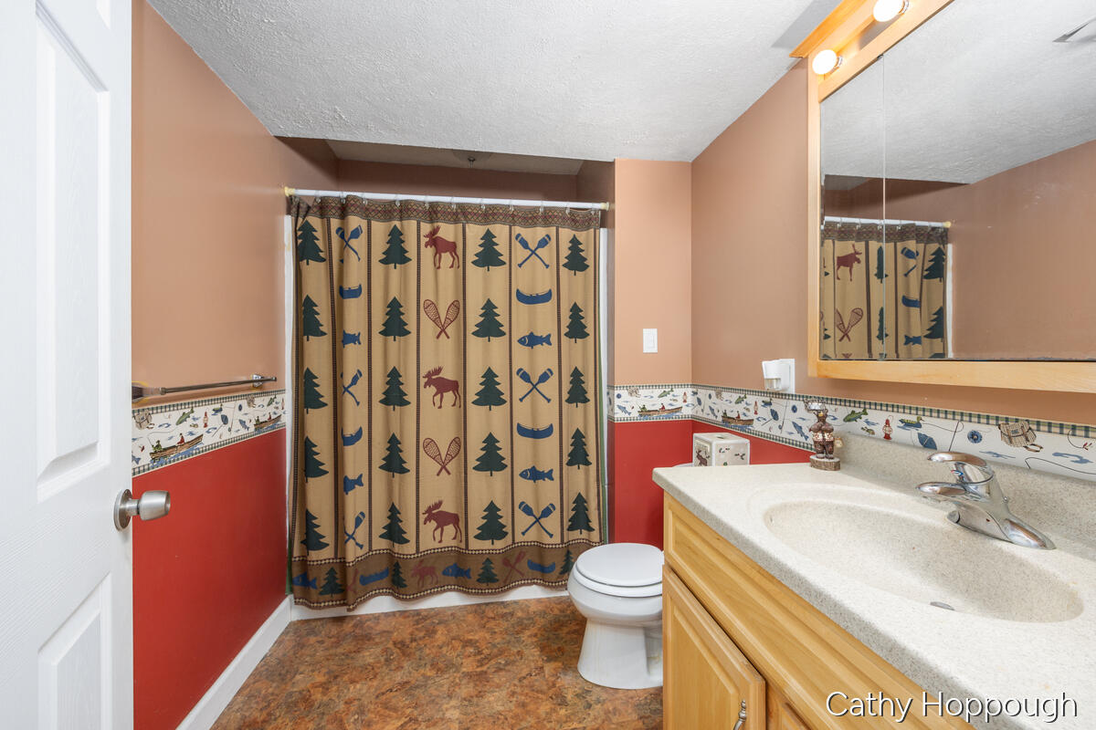 470 Caroline Street Ionia, MI 48846 - Photo 43 of 69 470-Caroline_043