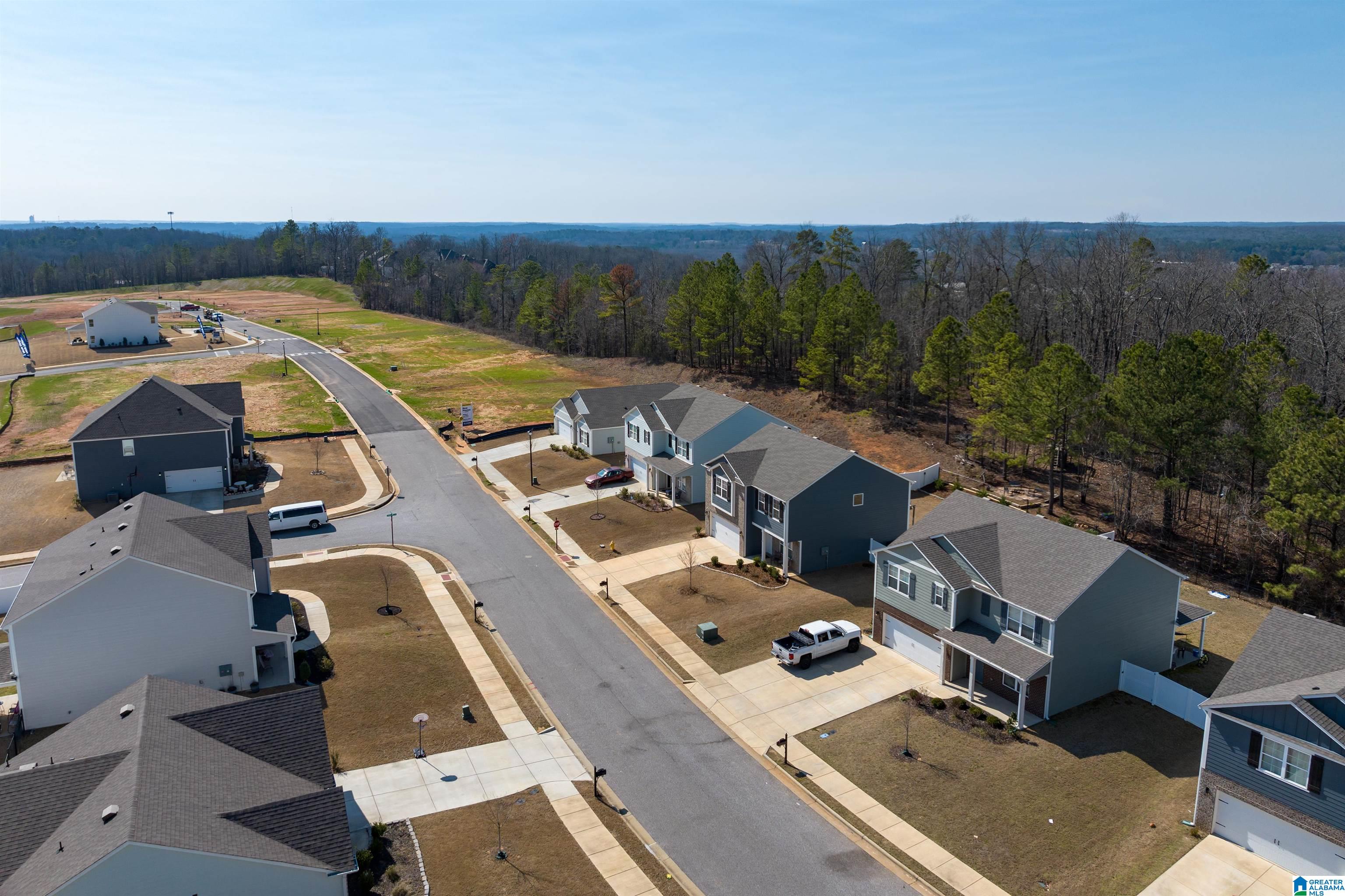 1040 Gadwall Drive Alabaster, AL 35007 - Photo 33 of 39