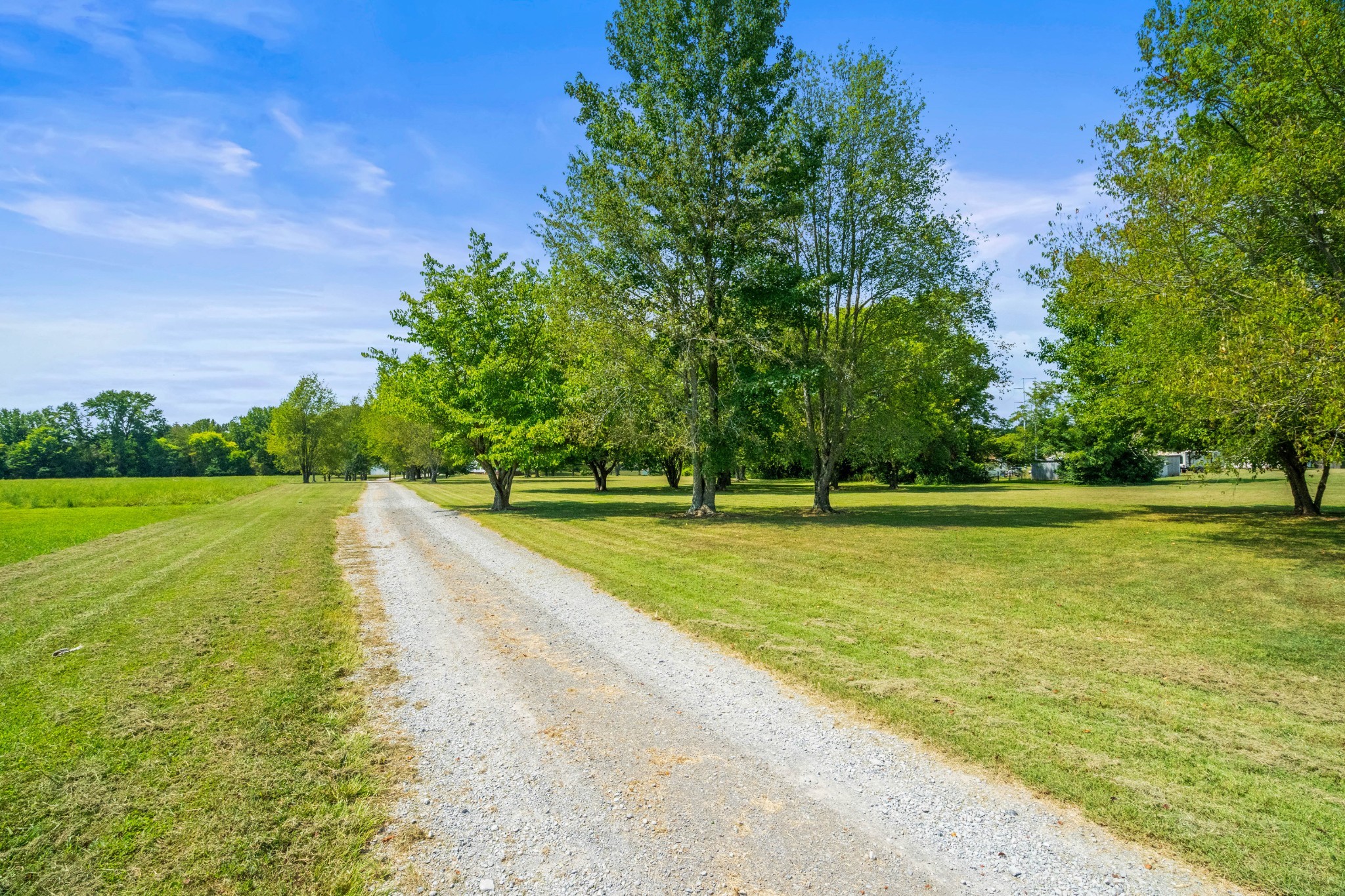 116 Old Parkers Chapel Road Portland, TN 37148 - Photo 13 of 64 a view of a swimming pool and trees in the background