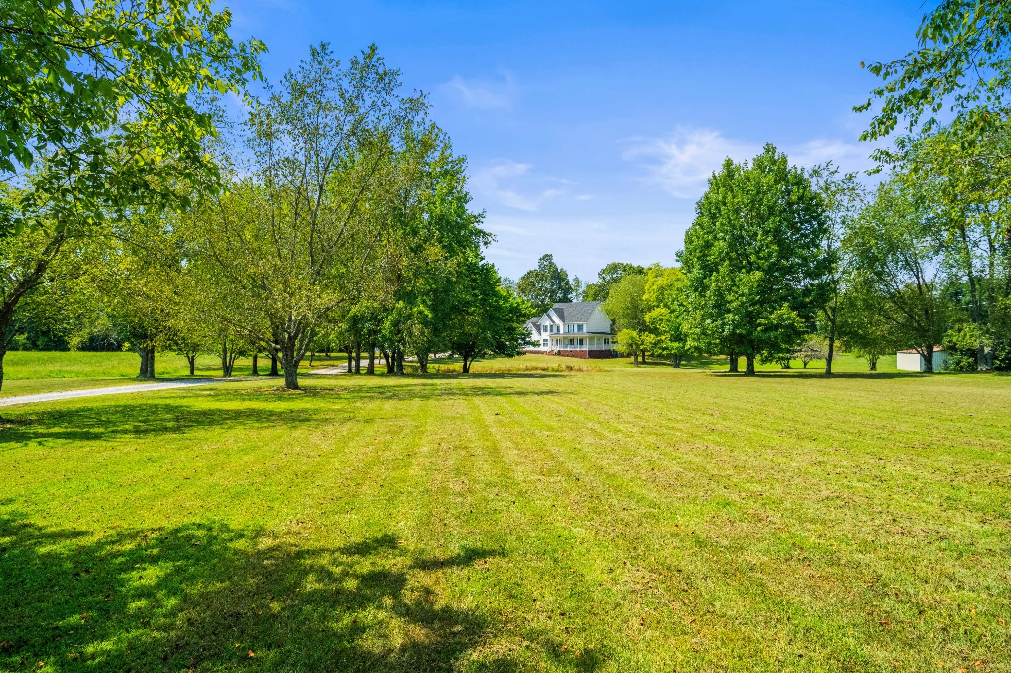 116 Old Parkers Chapel Road Portland, TN 37148 - Photo 14 of 64 a view of a swimming pool and trees in the background
