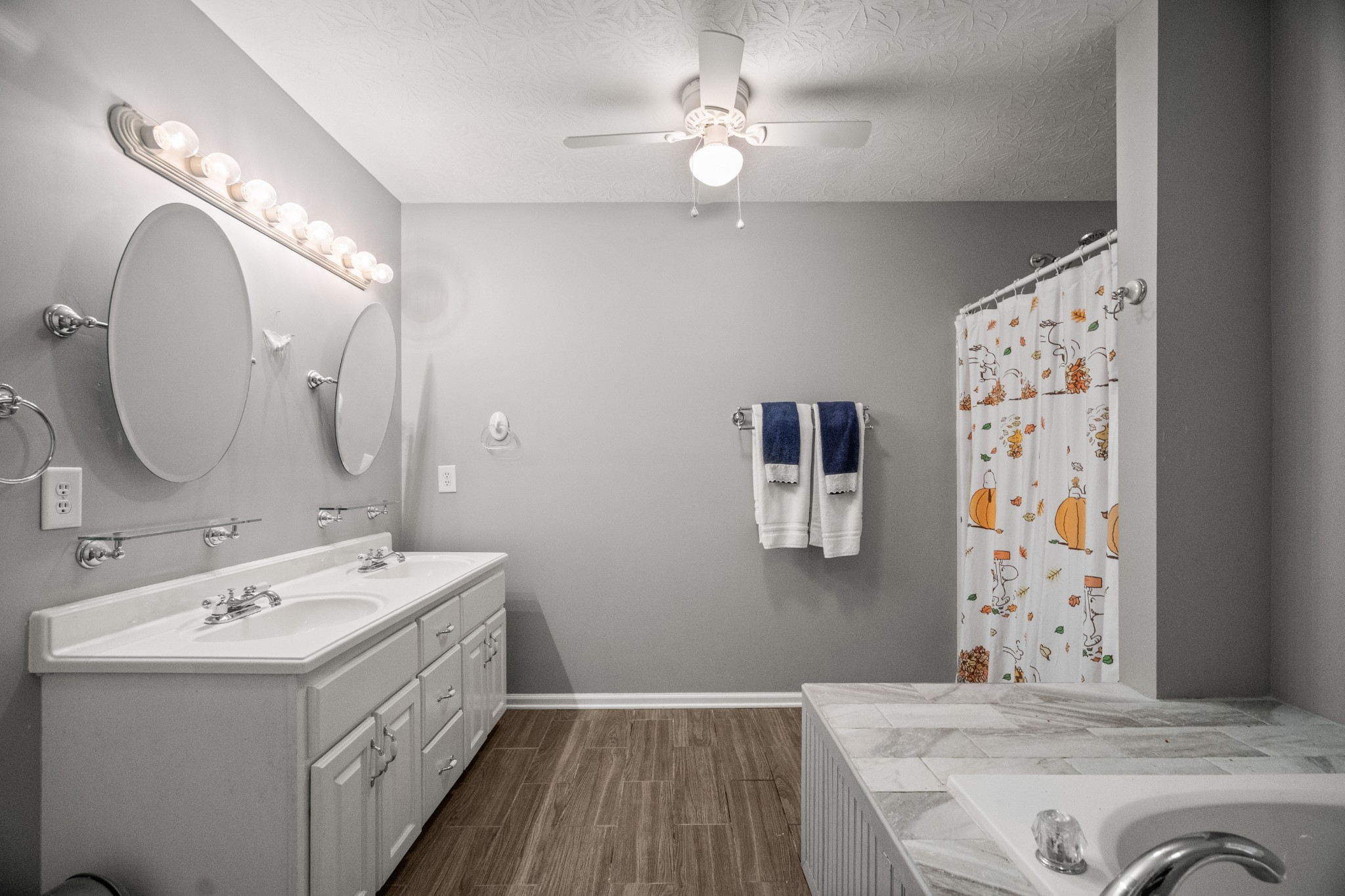 116 Old Parkers Chapel Road Portland, TN 37148 - Photo 53 of 64 a bathroom with a sink and a mirror