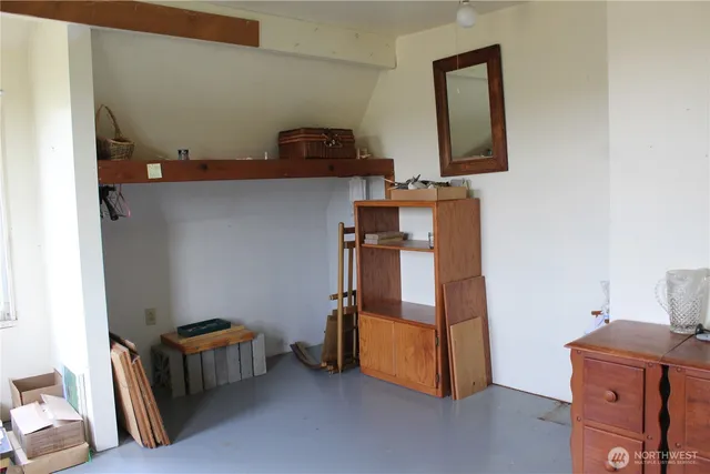 a view of a lush green forest