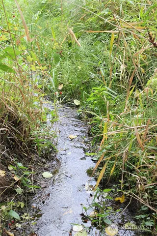 a view of a backyard of the house