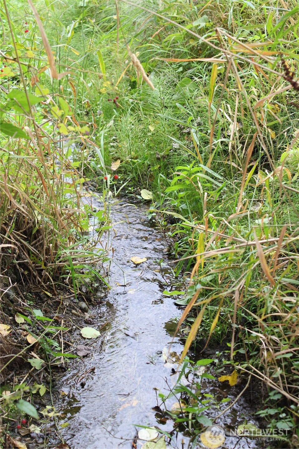 2600 Center Road Chimacum, WA 98325 - Photo 14 of 22