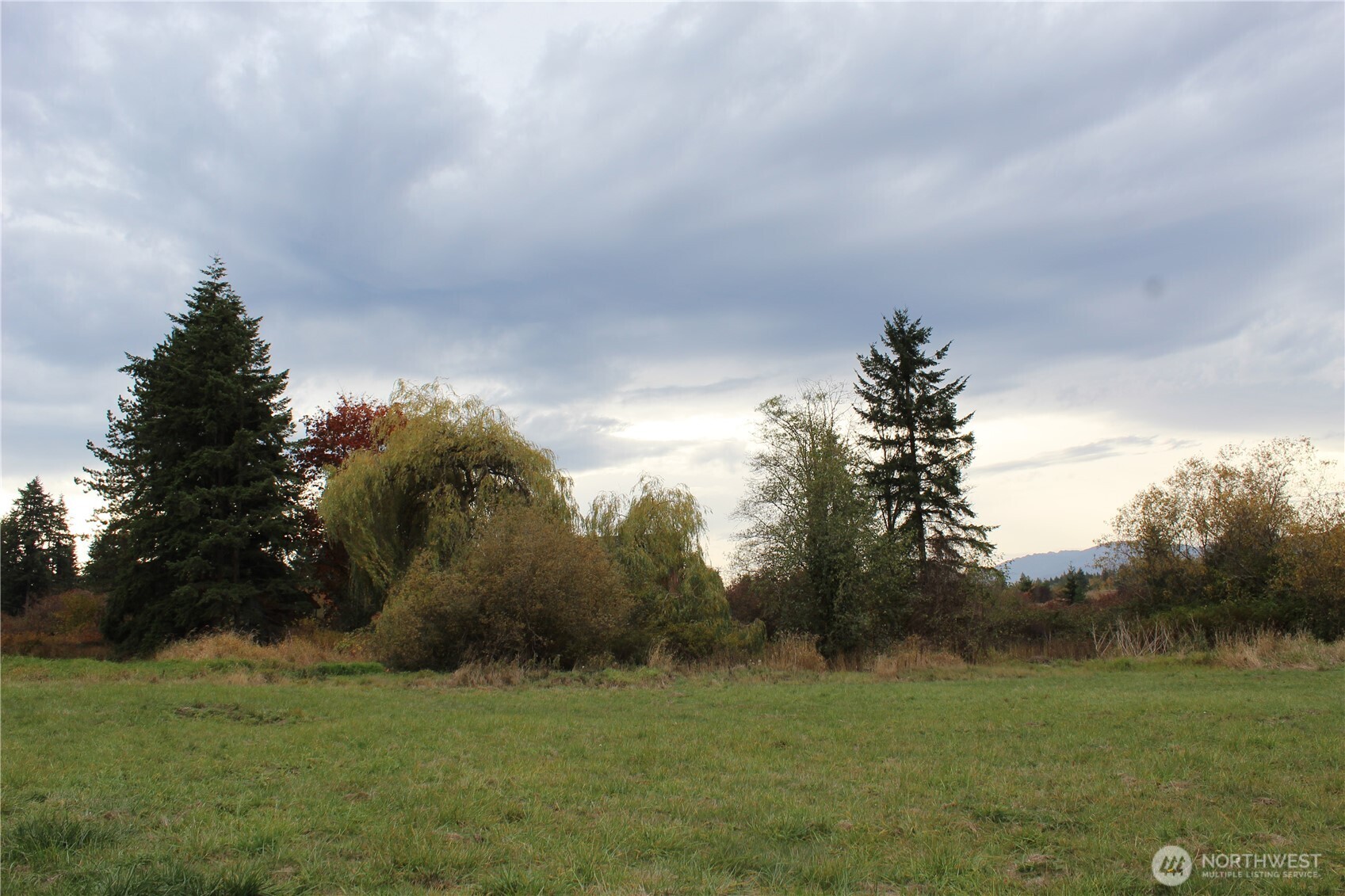 2600 Center Road Chimacum, WA 98325 - Photo 20 of 22 a backyard of a house with lots of green space
