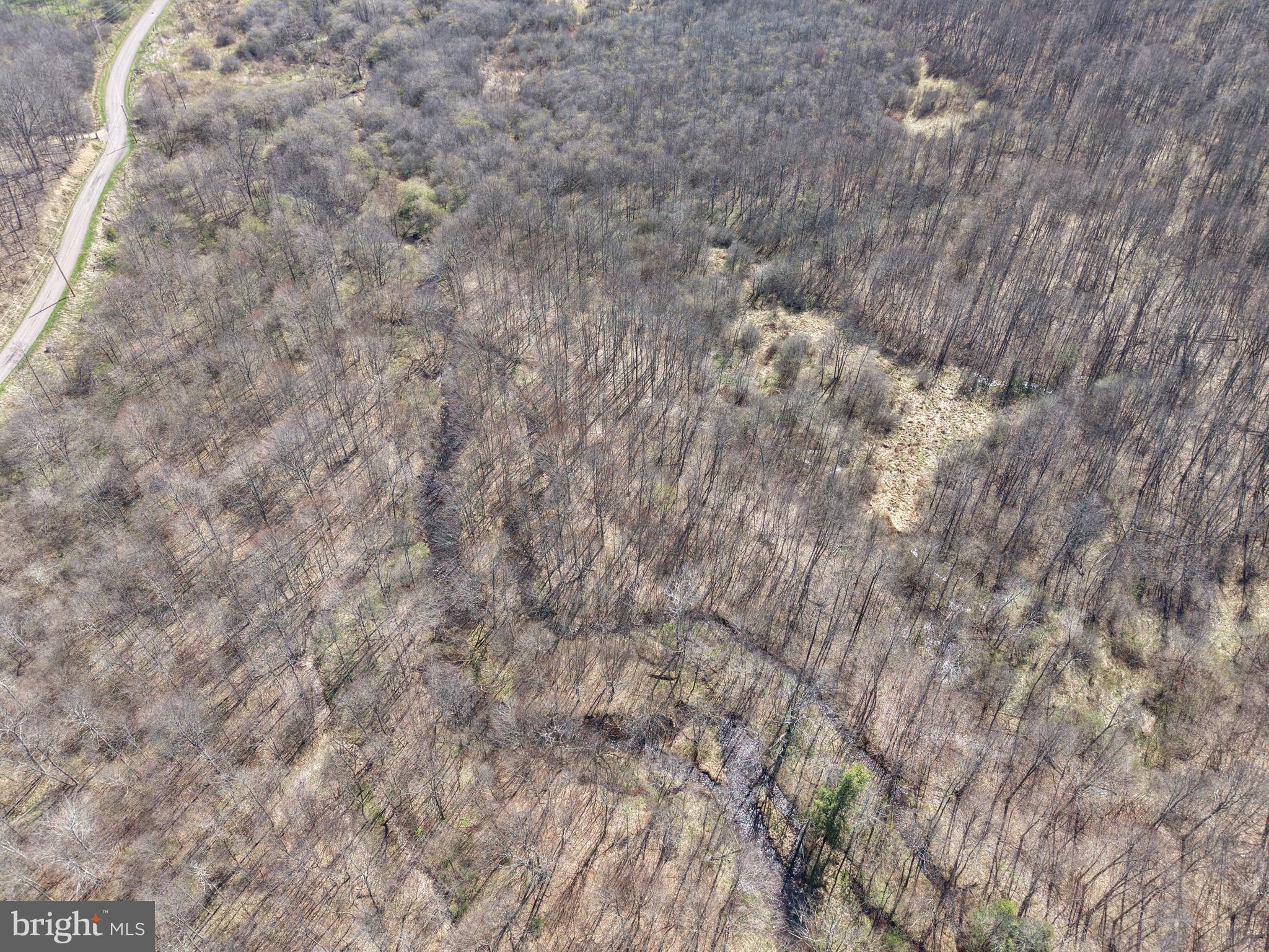 129-acres Black Hollow Road Schellsburg, PA 15559 - Photo 14 of 72