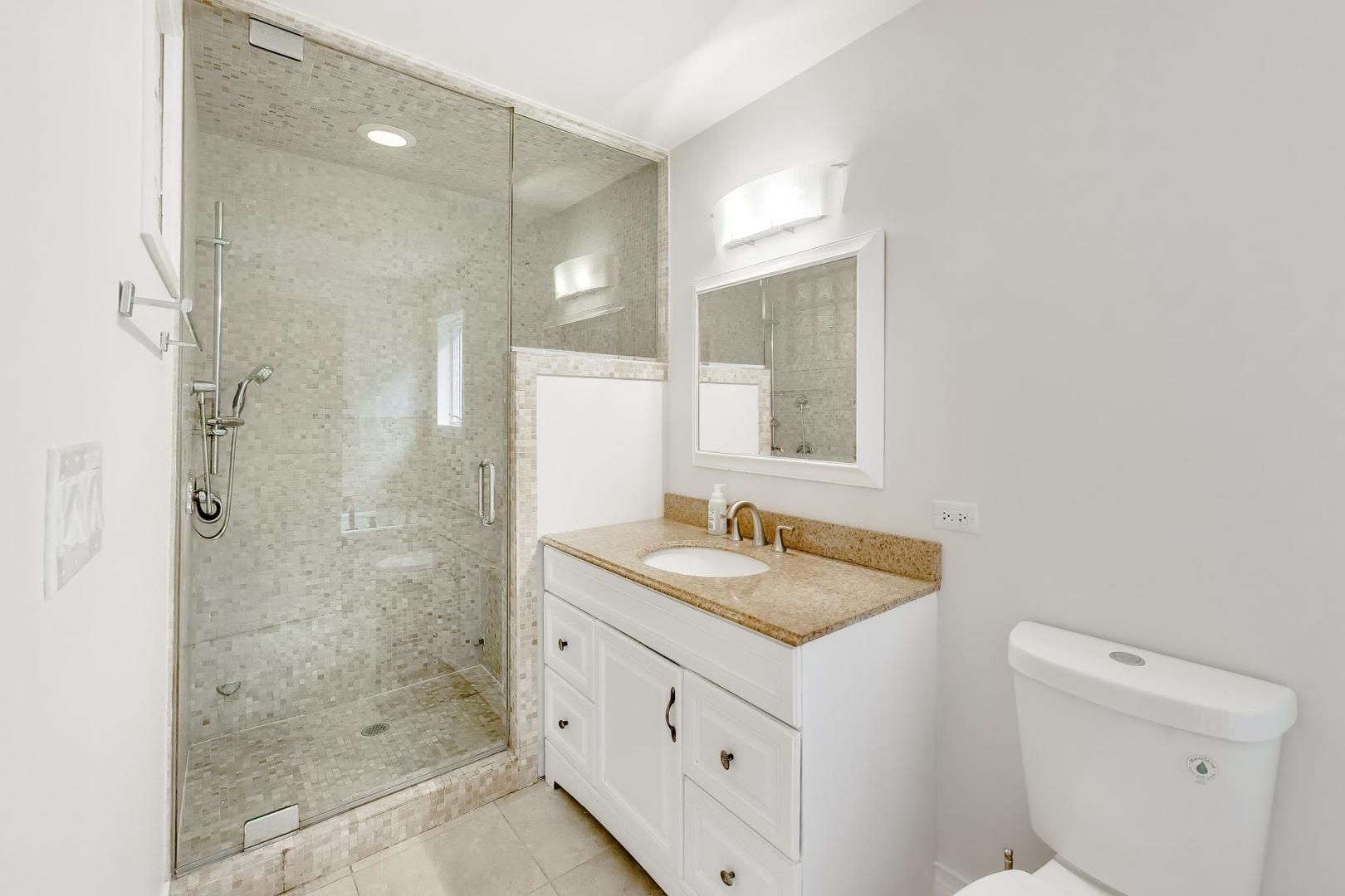 3413 South Indiana Avenue Chicago, IL 60616 - Photo 10 of 15 a bathroom with a granite countertop sink a mirror and a shower