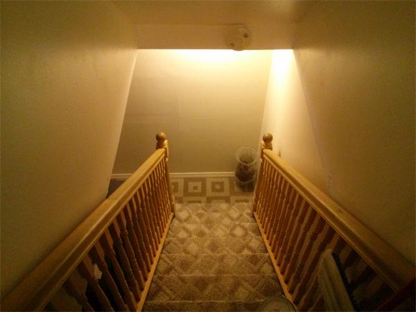 4 Windham Road Boston, MA 02136 - Photo 13 of 19 Gallery Image 13