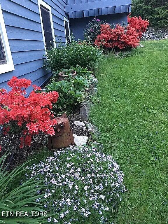 1609 Chandler Road Knoxville, TN 37922 - Photo 3 of 3 Spring foliage