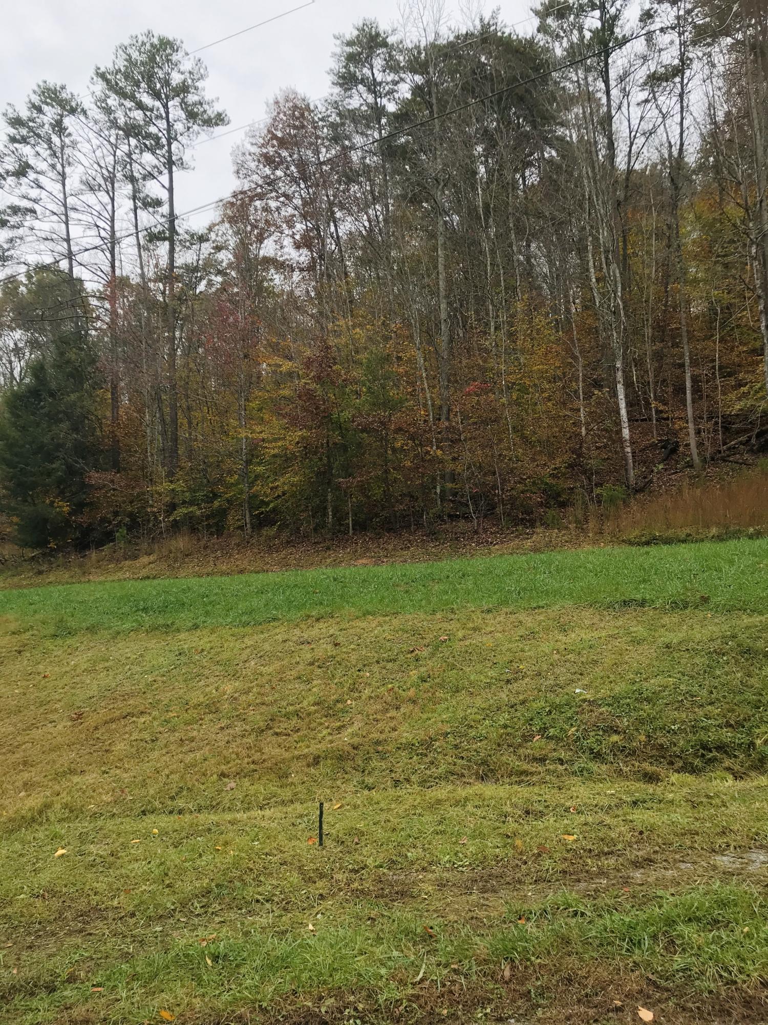 Riverview Road Maynardville, TN 37807 - Photo 2 of 6 IMG_0057