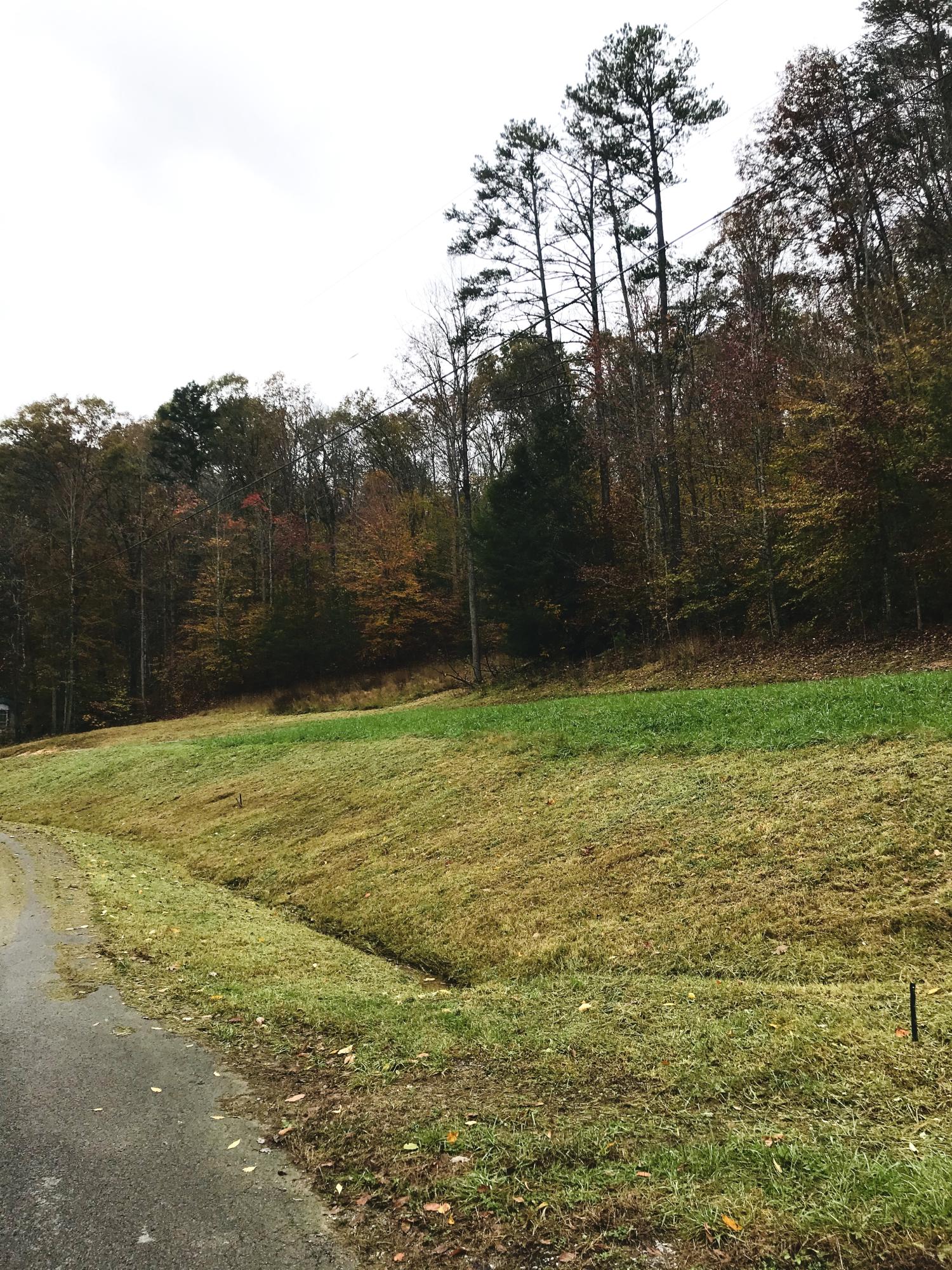 Riverview Road Maynardville, TN 37807 - Photo 3 of 6 IMG_0058