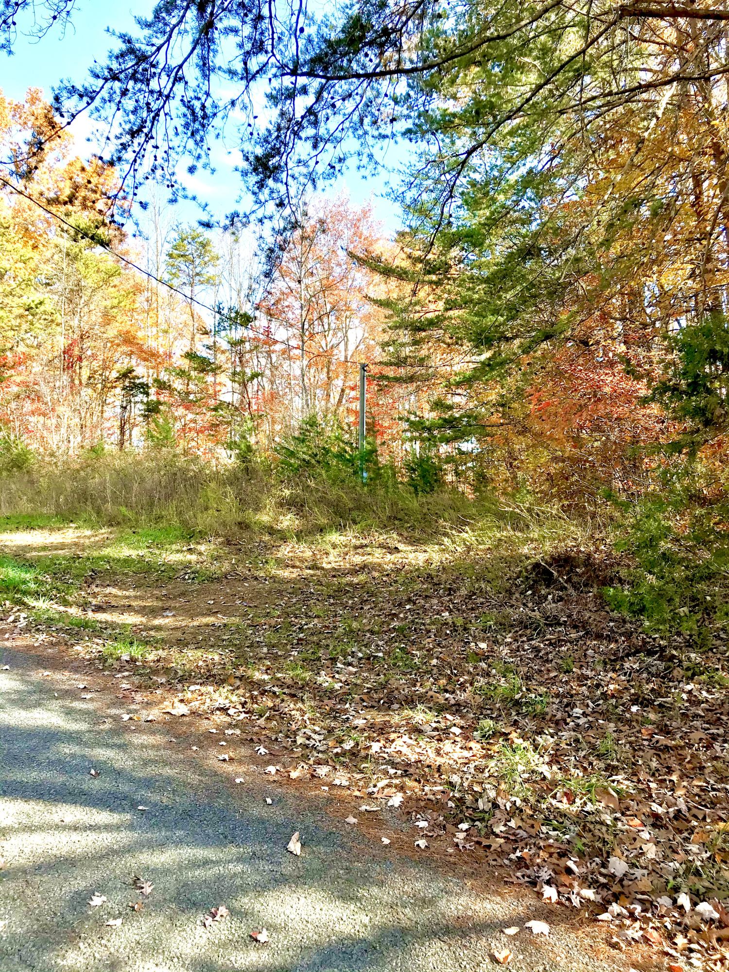 Riverview Road Maynardville, TN 37807 - Photo 6 of 6 IMG_0392