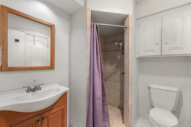 a bathroom with a sink toilet and vanity