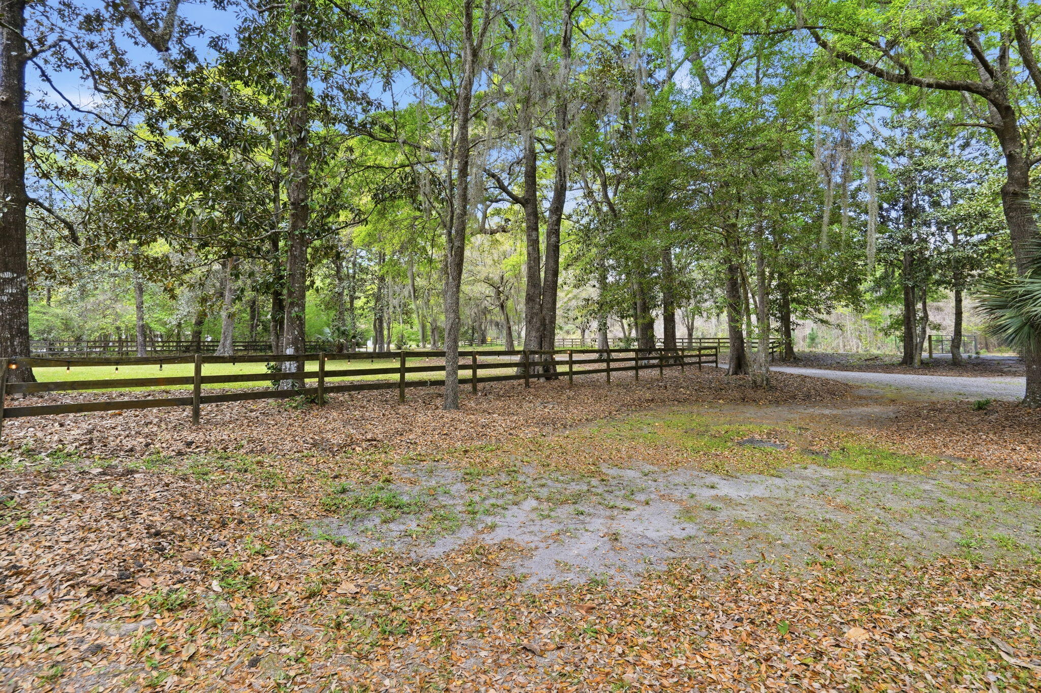 3002 Edenvale Road Johns Island, SC 29455 - Photo 59 of 82 73-web-or-mls-073_DSC07411_1