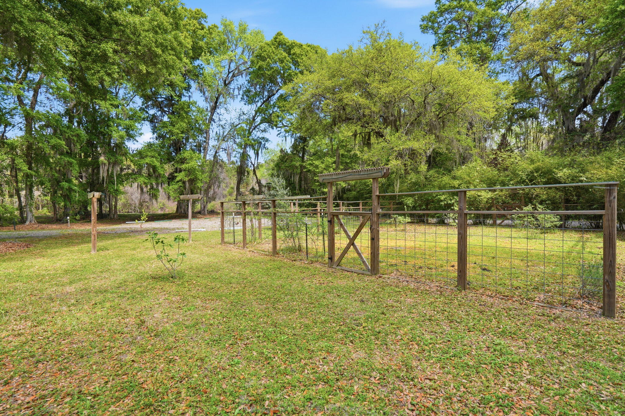 3002 Edenvale Road Johns Island, SC 29455 - Photo 60 of 82 74-web-or-mls-071_DSC07390_1