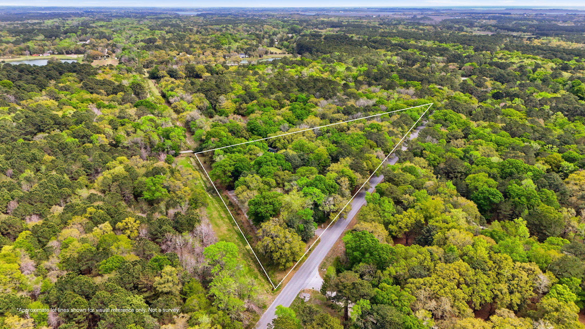 3002 Edenvale Road Johns Island, SC 29455 - Photo 68 of 82 86-web-or-mls-079_DJI_20260330142007_000