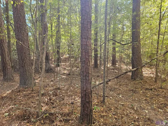 $150,000 | 9853 Tunica Trace, St. Francisville, LA 70775