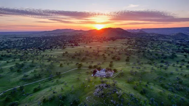 a view of a lush green hillside and a houses