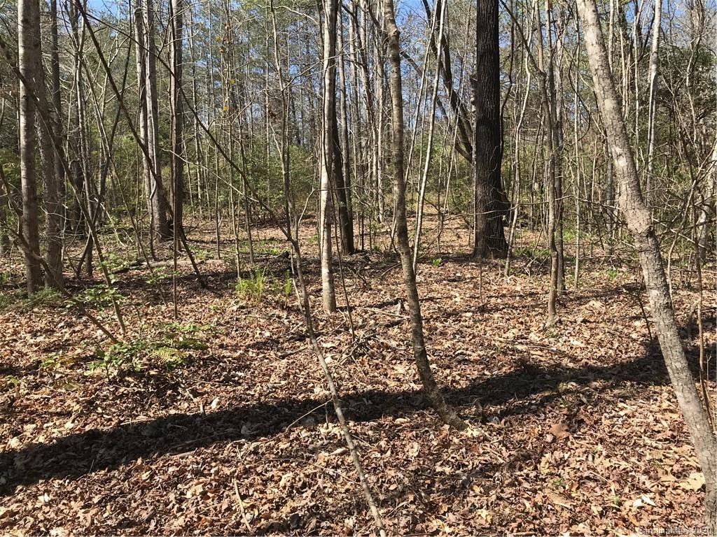 4.10-acres Ashe Bridge Road, Unit 11 Marion, NC 28752 - Photo 12 of 17 Gallery Image 12