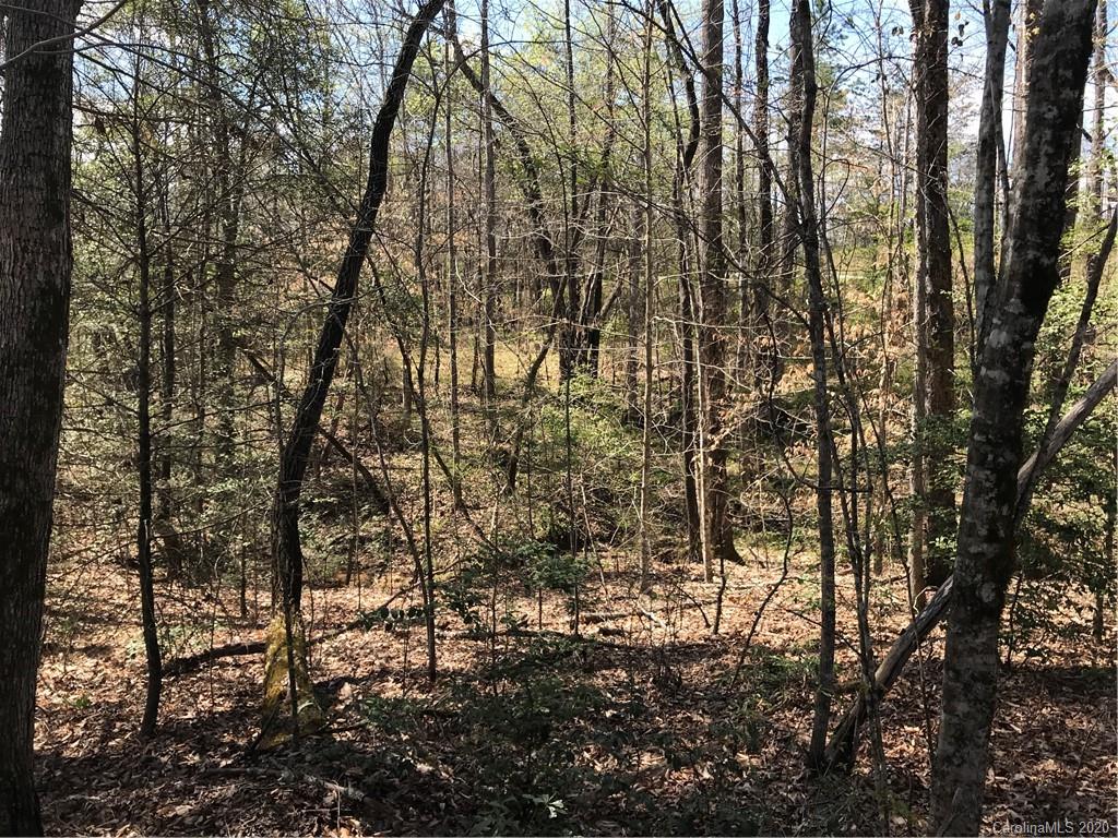 4.10-acres Ashe Bridge Road, Unit 11 Marion, NC 28752 - Photo 14 of 17 Gallery Image 14