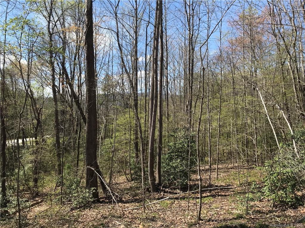 4.10-acres Ashe Bridge Road, Unit 11 Marion, NC 28752 - Photo 10 of 17 Gallery Image 10