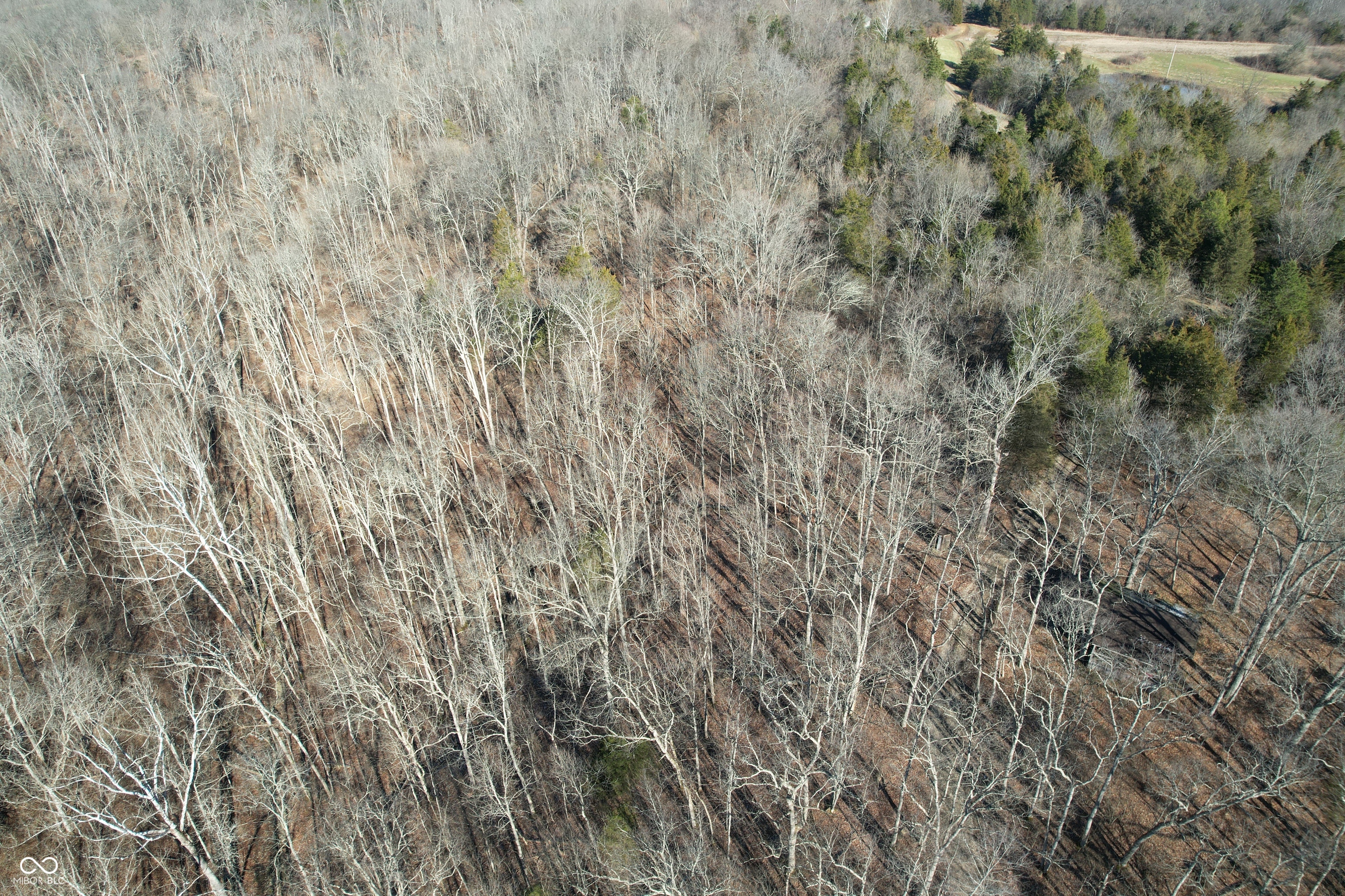 0 Jack Allen Road Vevay, IN 47043 - Photo 13 of 61