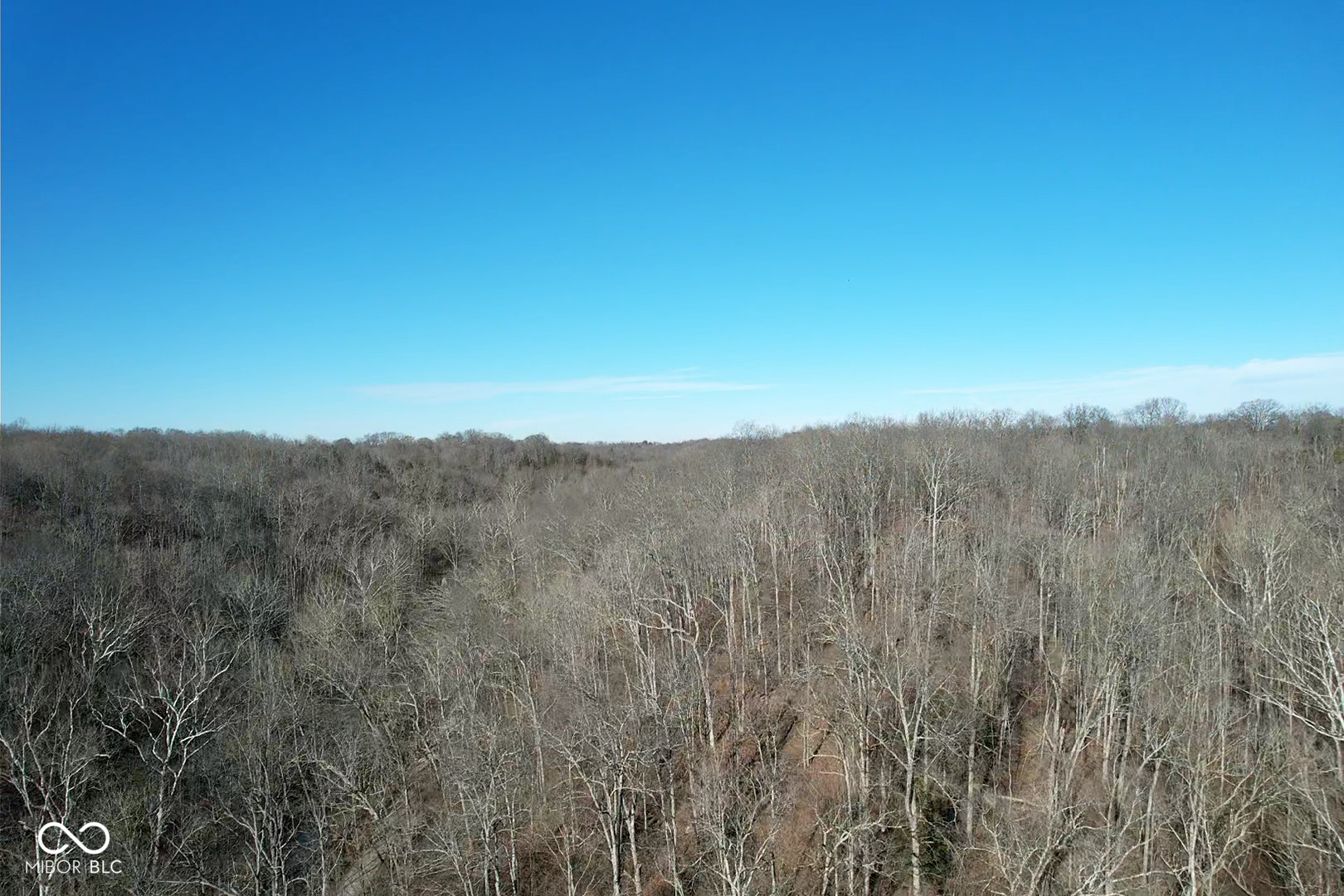 0 Jack Allen Road Vevay, IN 47043 - Photo 17 of 61