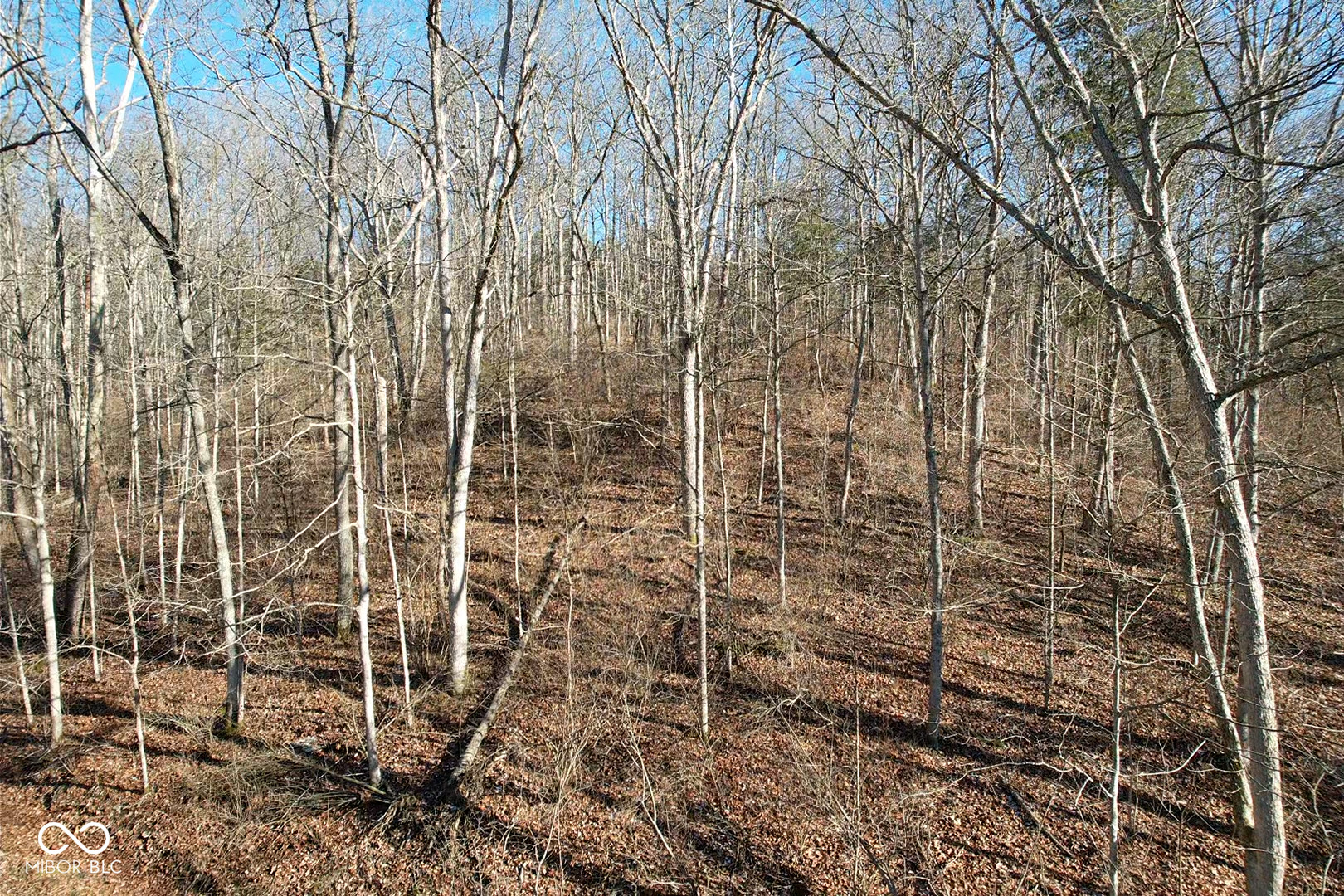 0 Jack Allen Road Vevay, IN 47043 - Photo 25 of 61