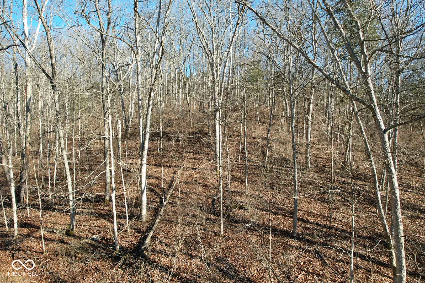 0 Jack Allen Road Vevay, IN 47043 - Photo 26 of 61