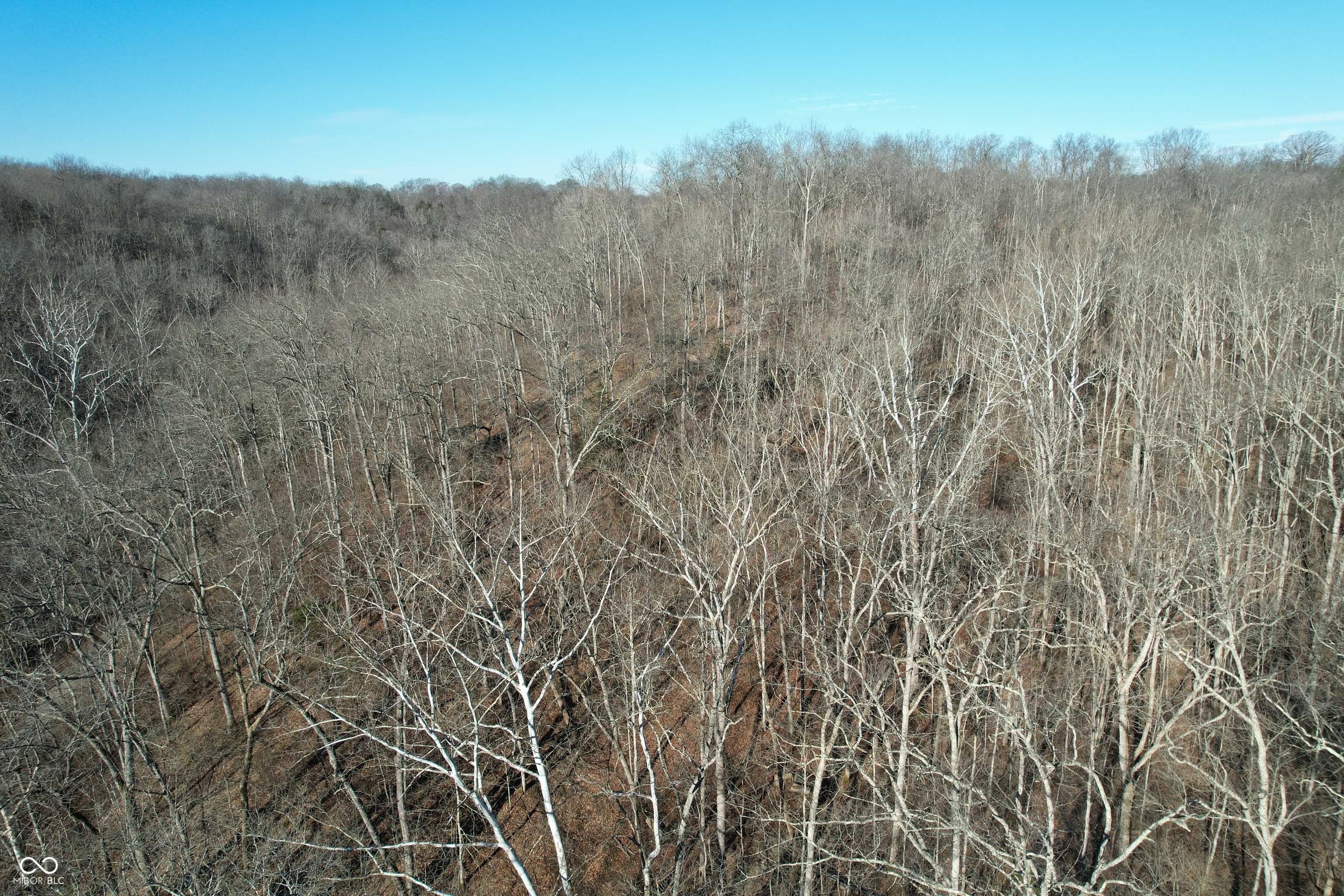 0 Jack Allen Road Vevay, IN 47043 - Photo 27 of 61