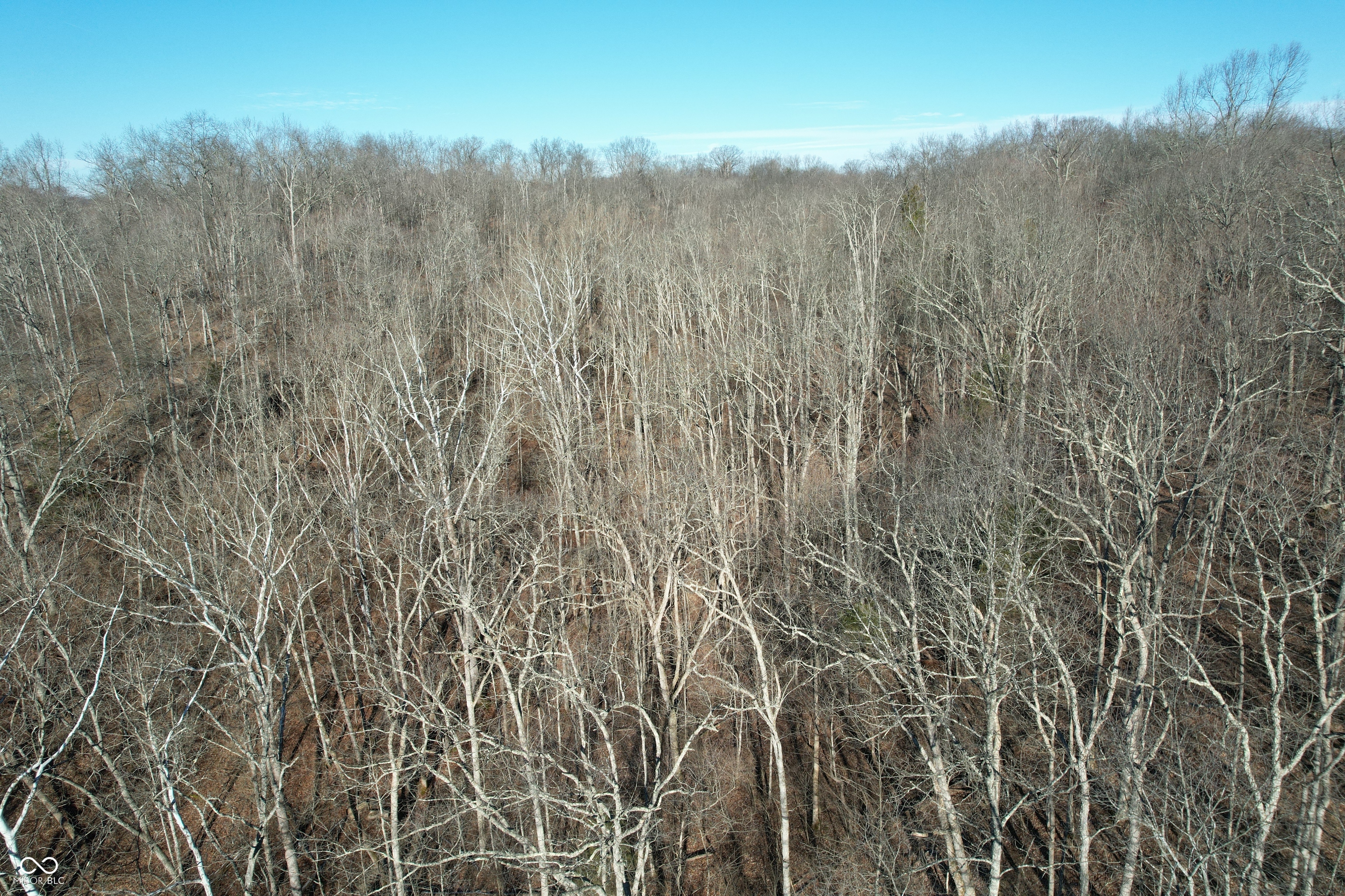 0 Jack Allen Road Vevay, IN 47043 - Photo 28 of 61
