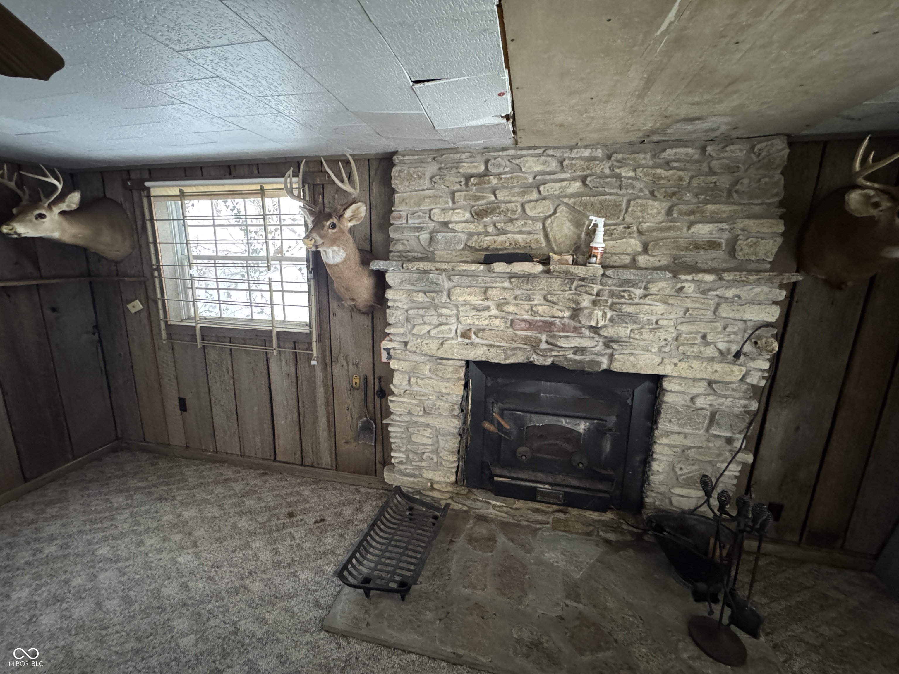 0 Jack Allen Road Vevay, IN 47043 - Photo 3 of 61