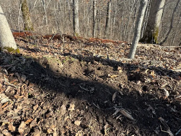 $169,000 | 0 Jack Allen Road, Vevay, IN 47043