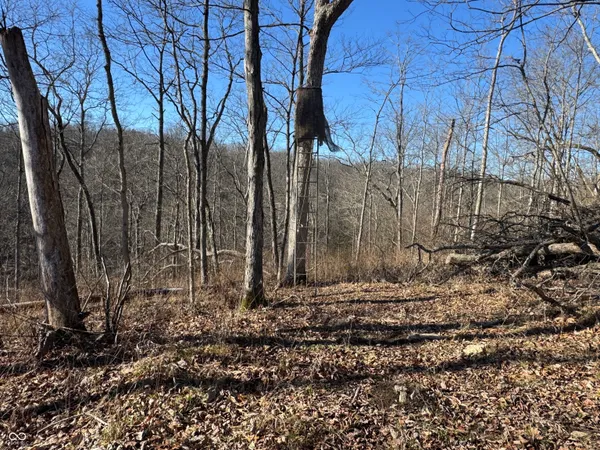 $169,000 | 0 Jack Allen Road, Vevay, IN 47043