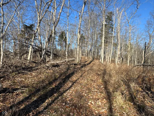 $169,000 | 0 Jack Allen Road, Vevay, IN 47043