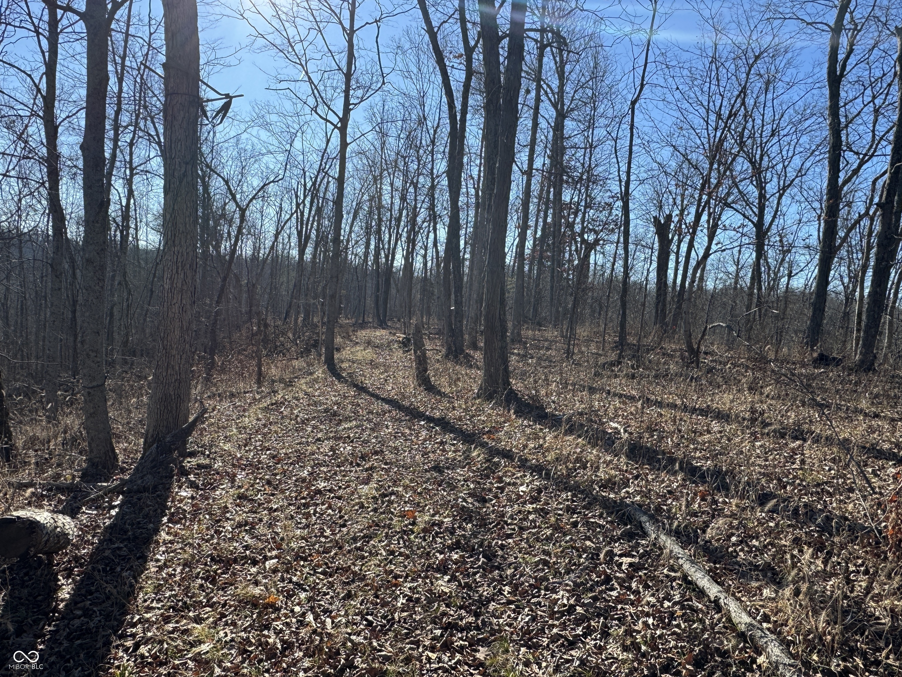 0 Jack Allen Road Vevay, IN 47043 - Photo 41 of 61