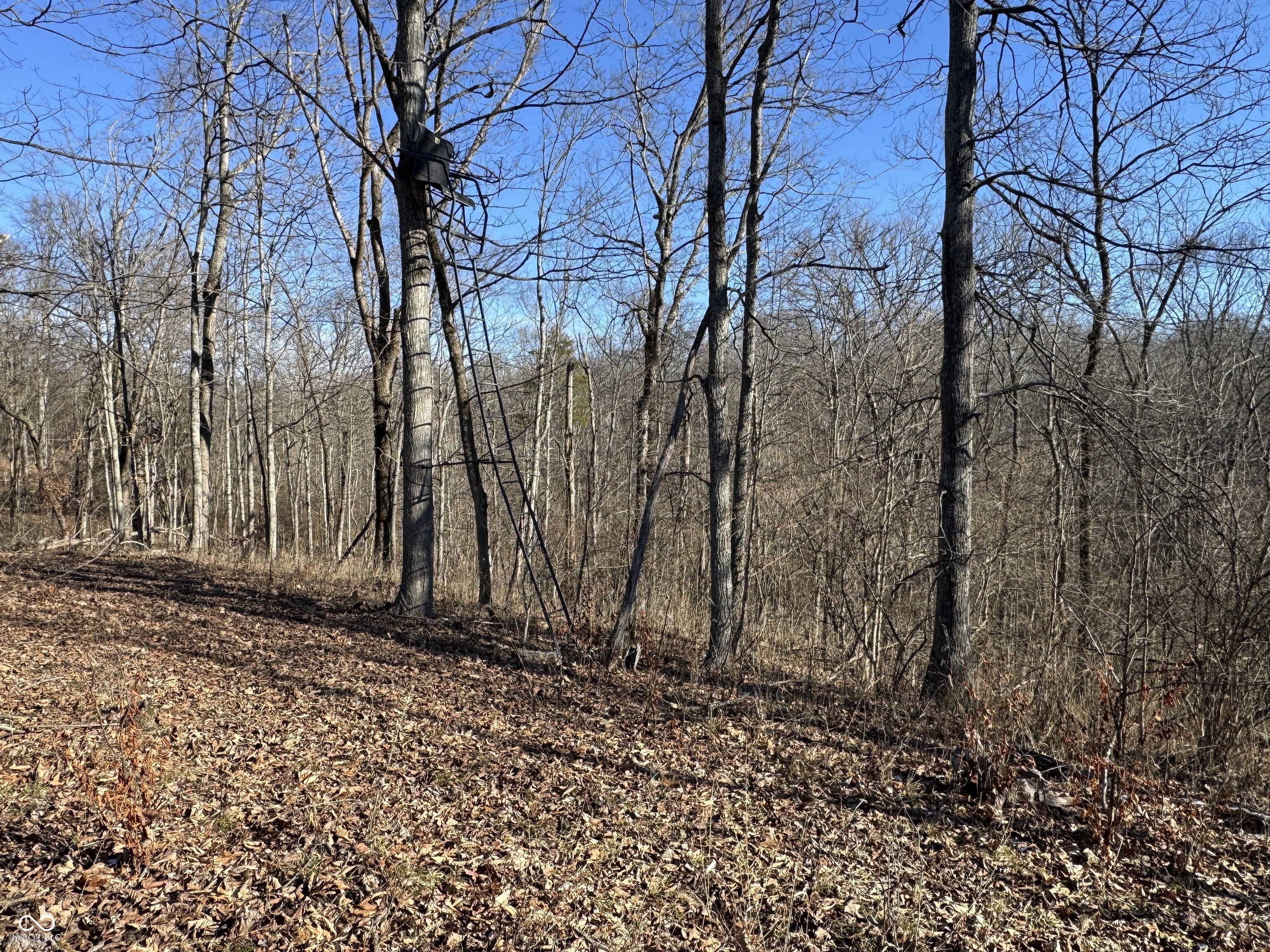 0 Jack Allen Road Vevay, IN 47043 - Photo 43 of 61
