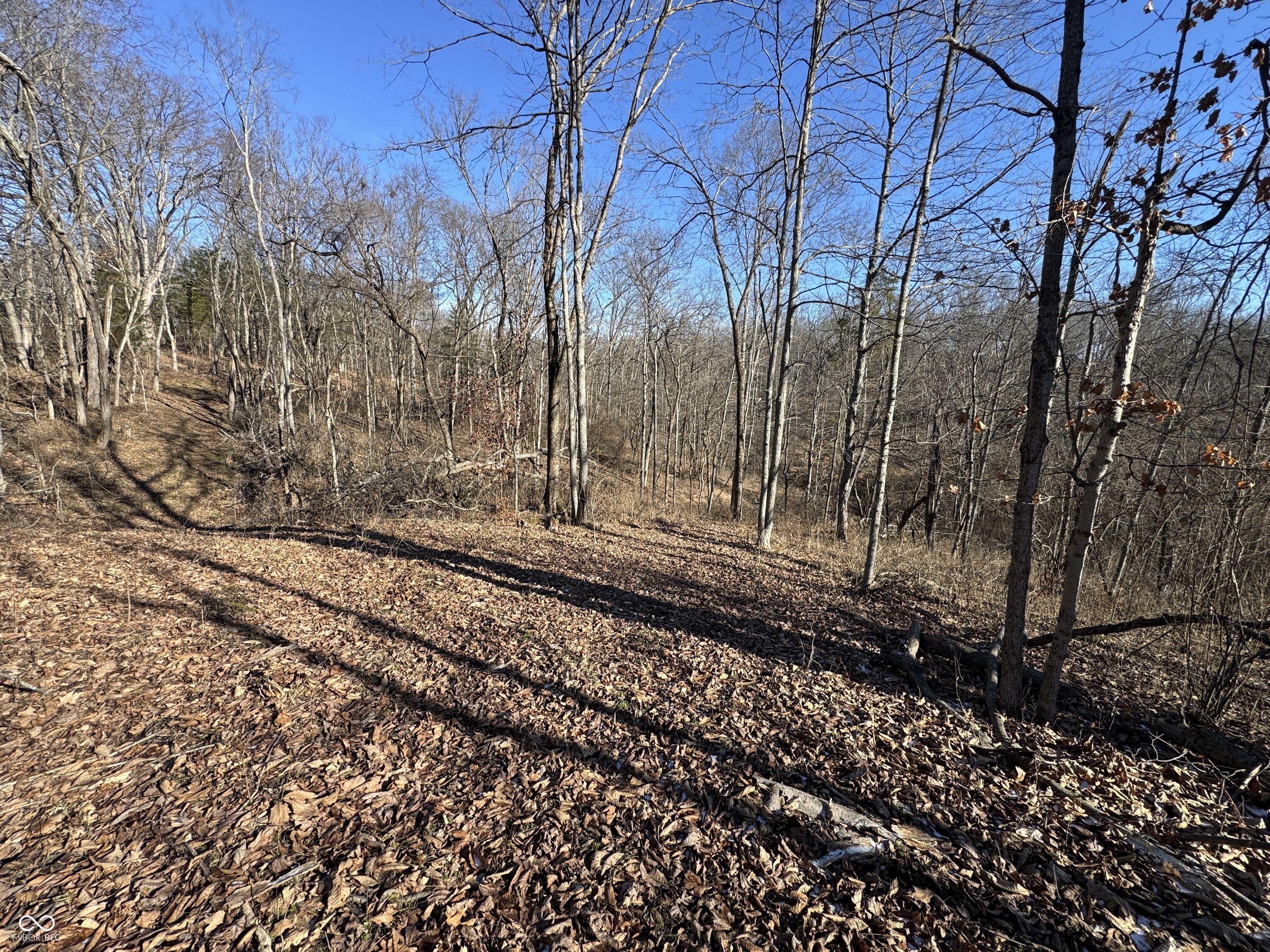 0 Jack Allen Road Vevay, IN 47043 - Photo 44 of 61