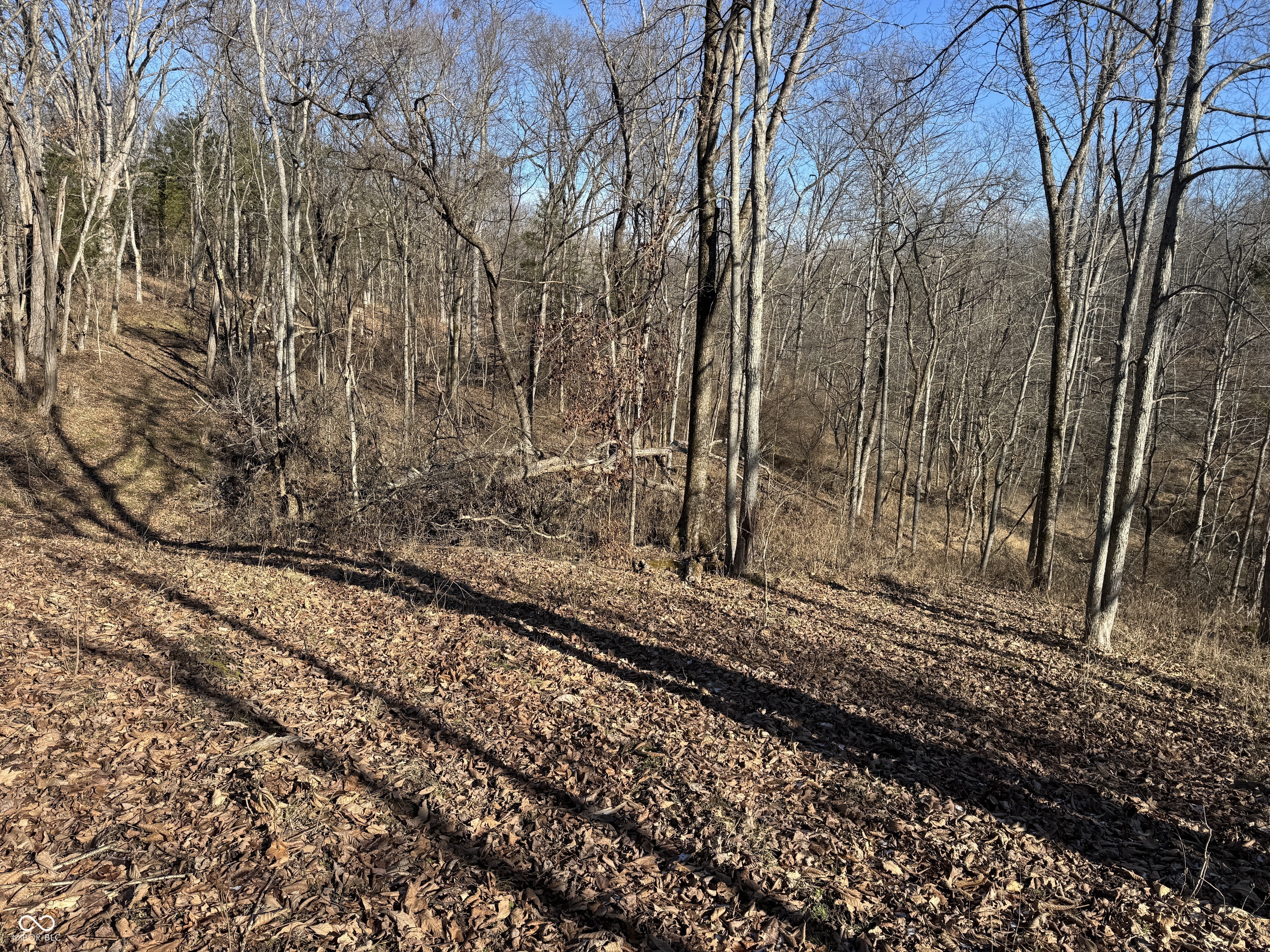 0 Jack Allen Road Vevay, IN 47043 - Photo 45 of 61