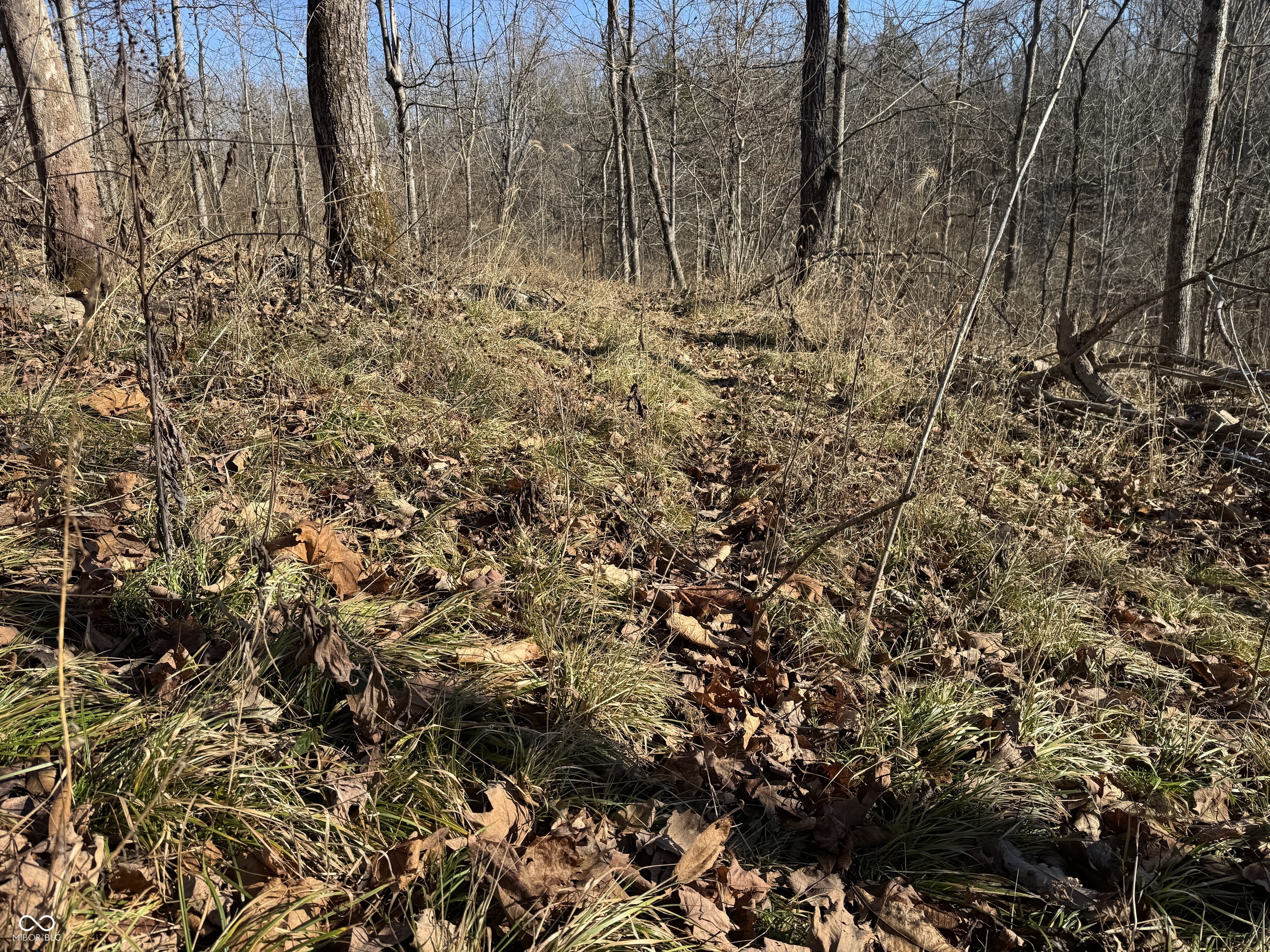 0 Jack Allen Road Vevay, IN 47043 - Photo 47 of 61