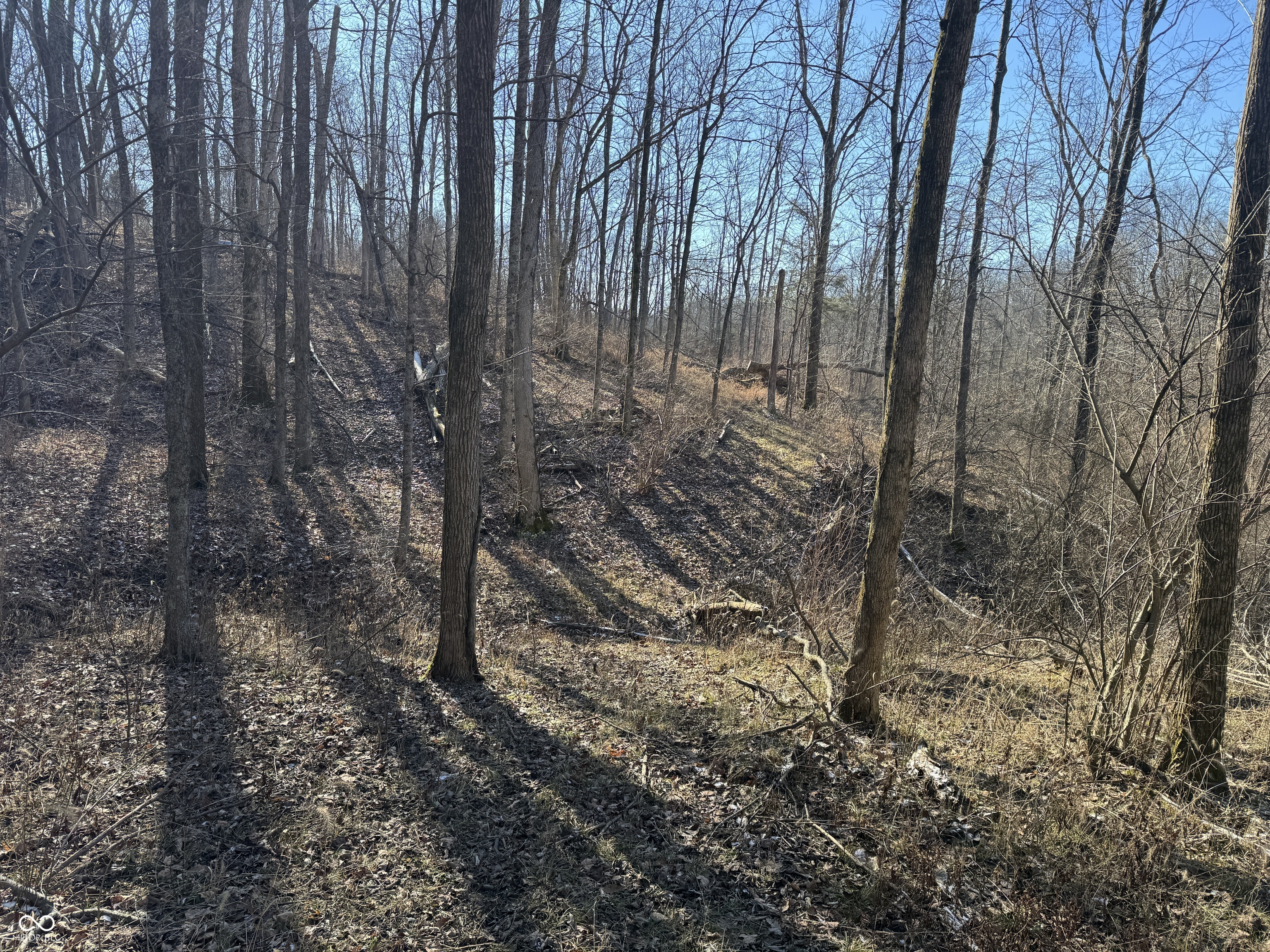0 Jack Allen Road Vevay, IN 47043 - Photo 49 of 61