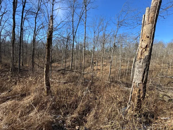 $169,000 | 0 Jack Allen Road, Vevay, IN 47043