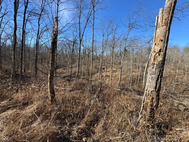 $185,000 | 0 Jack Allen Road, Vevay, IN 47043