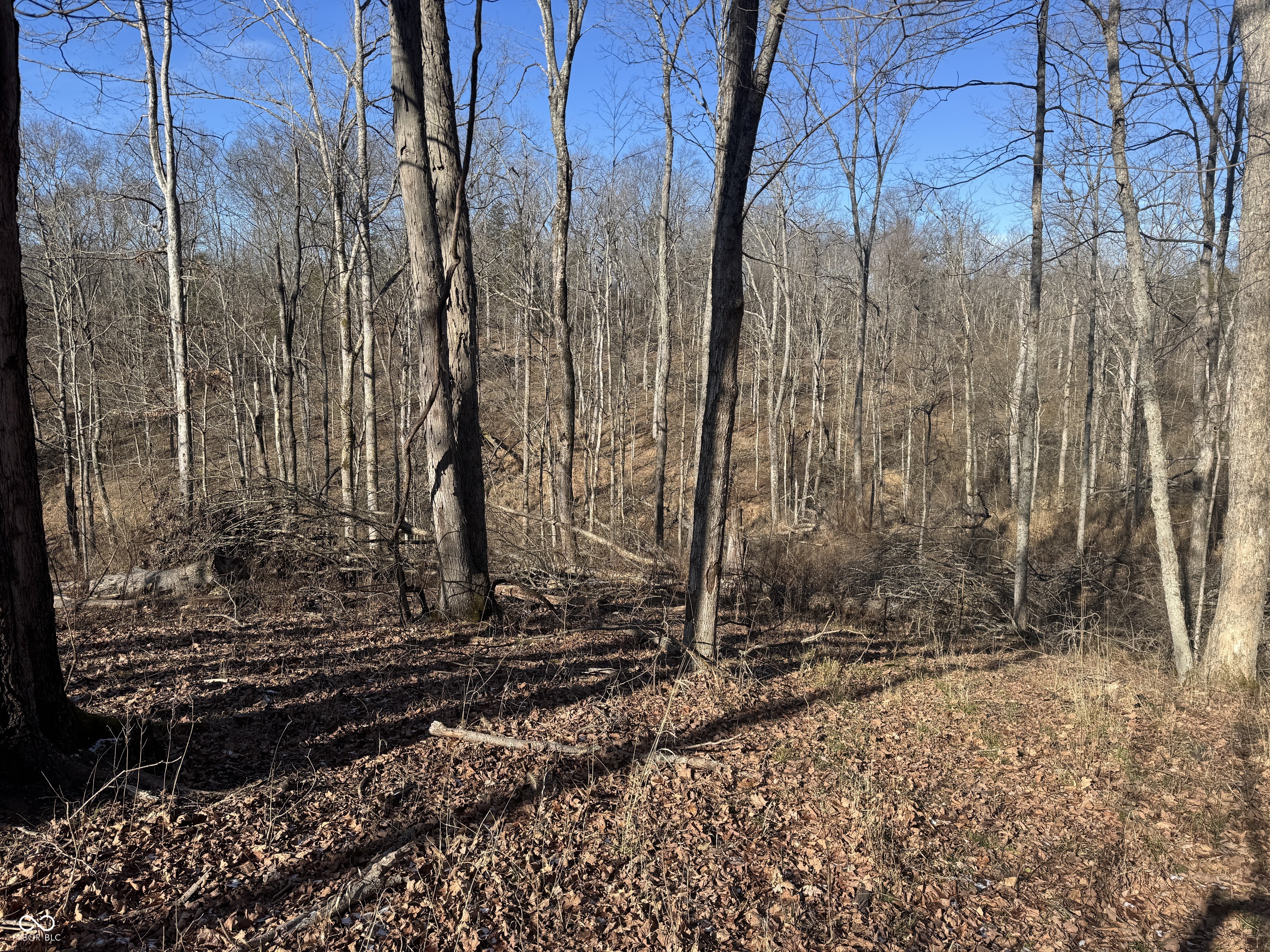 0 Jack Allen Road Vevay, IN 47043 - Photo 53 of 61