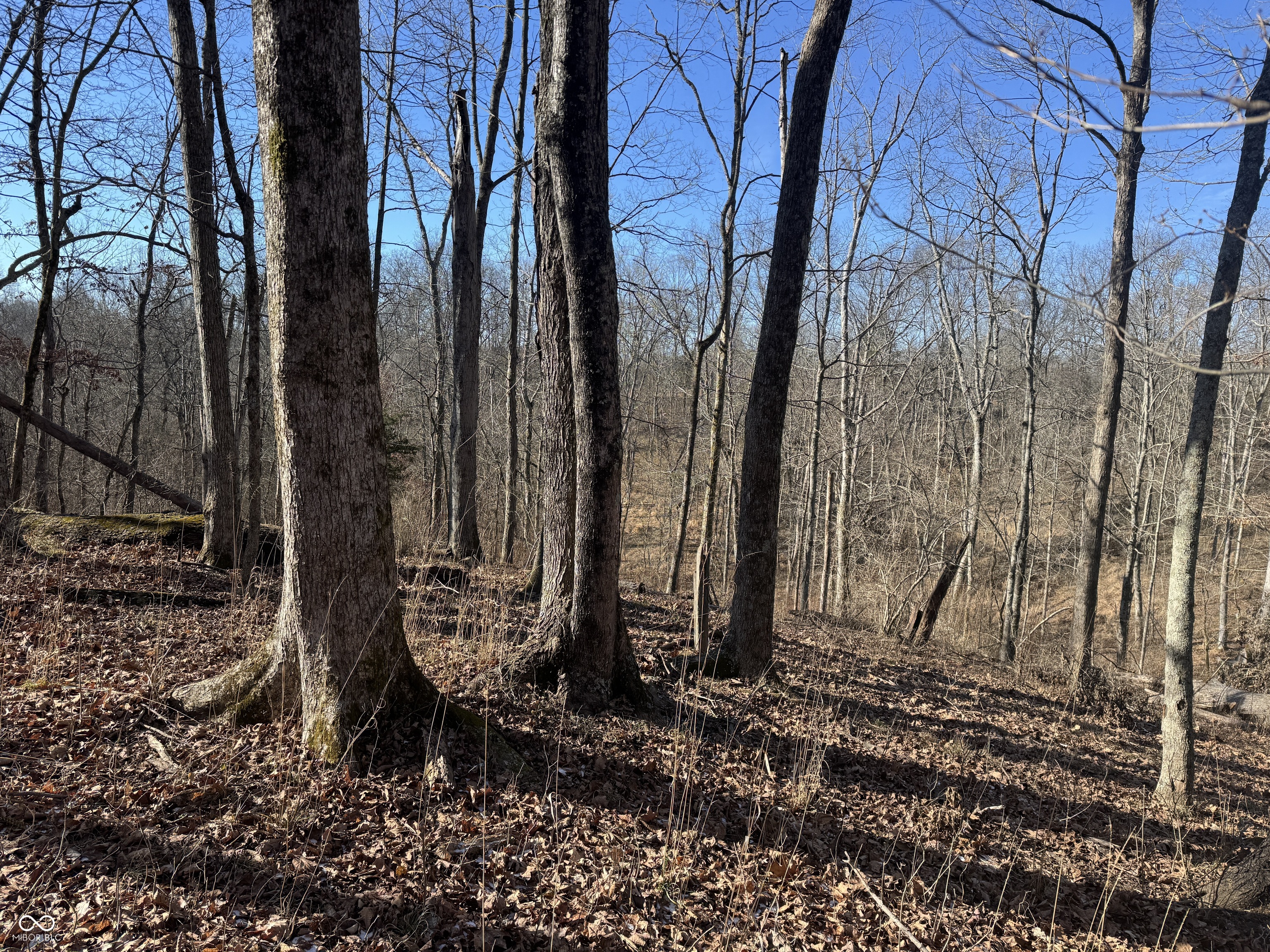 0 Jack Allen Road Vevay, IN 47043 - Photo 54 of 61